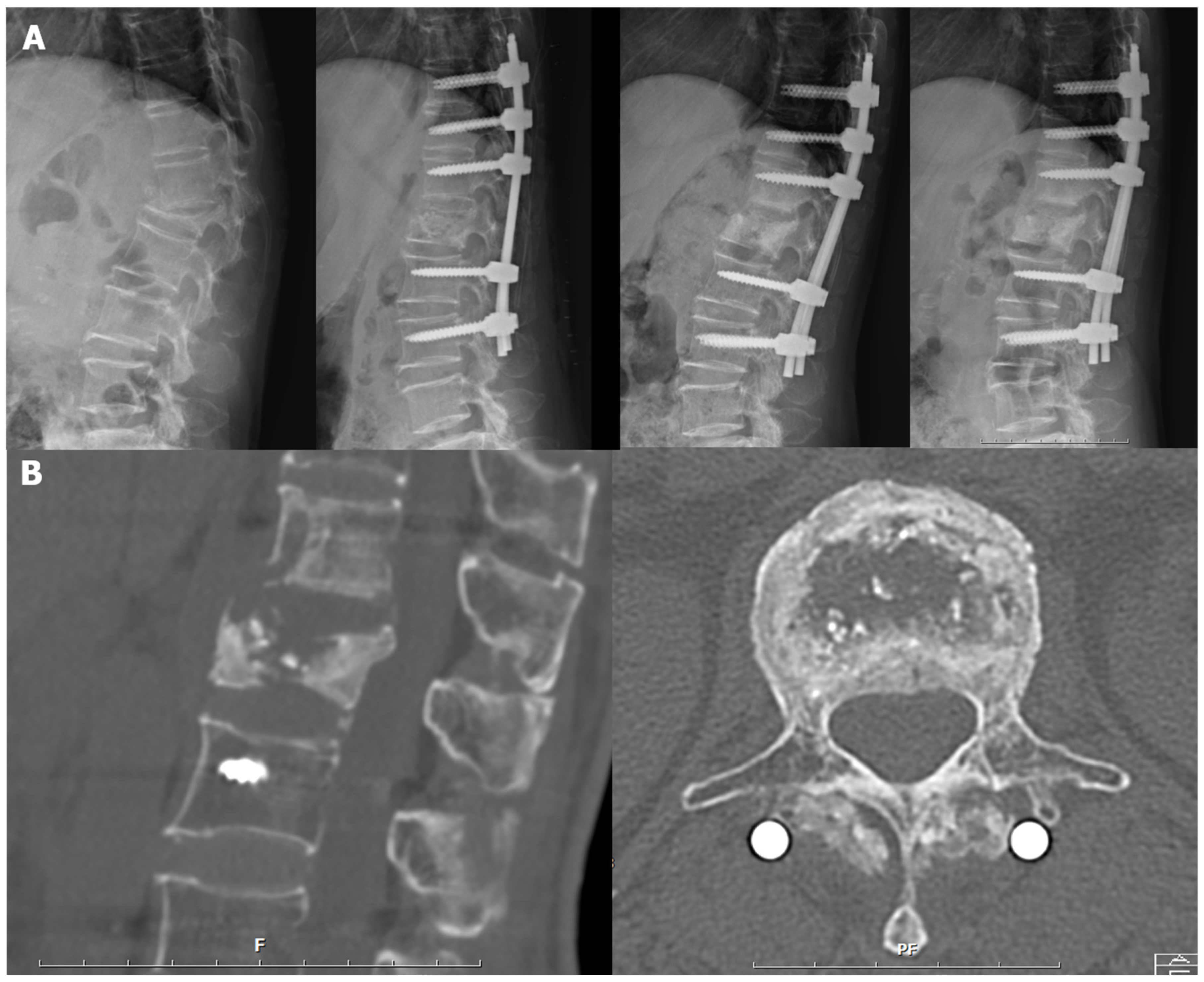 Bioengineering 10 01114 g003