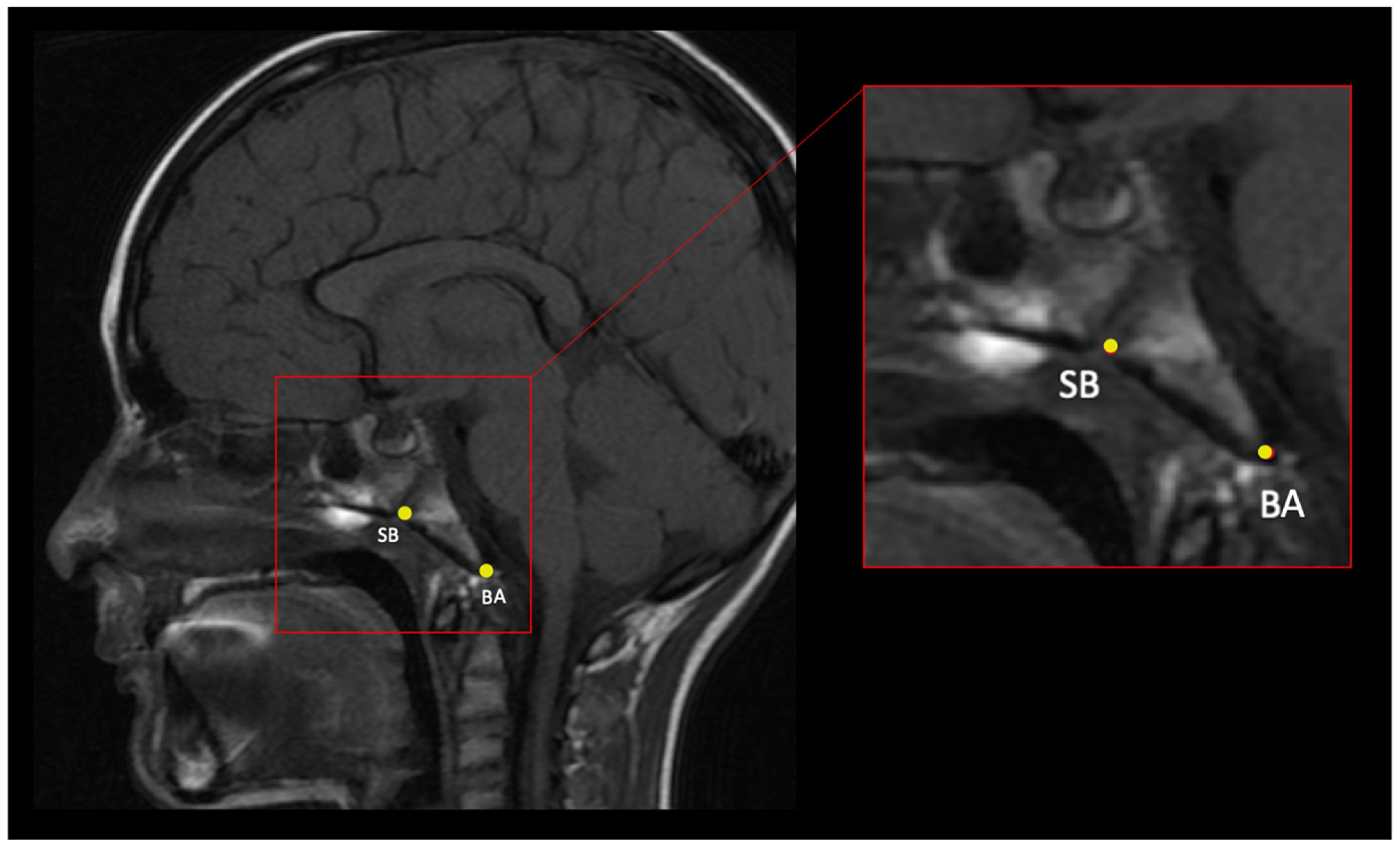 Bioengineering 10 01115 g002