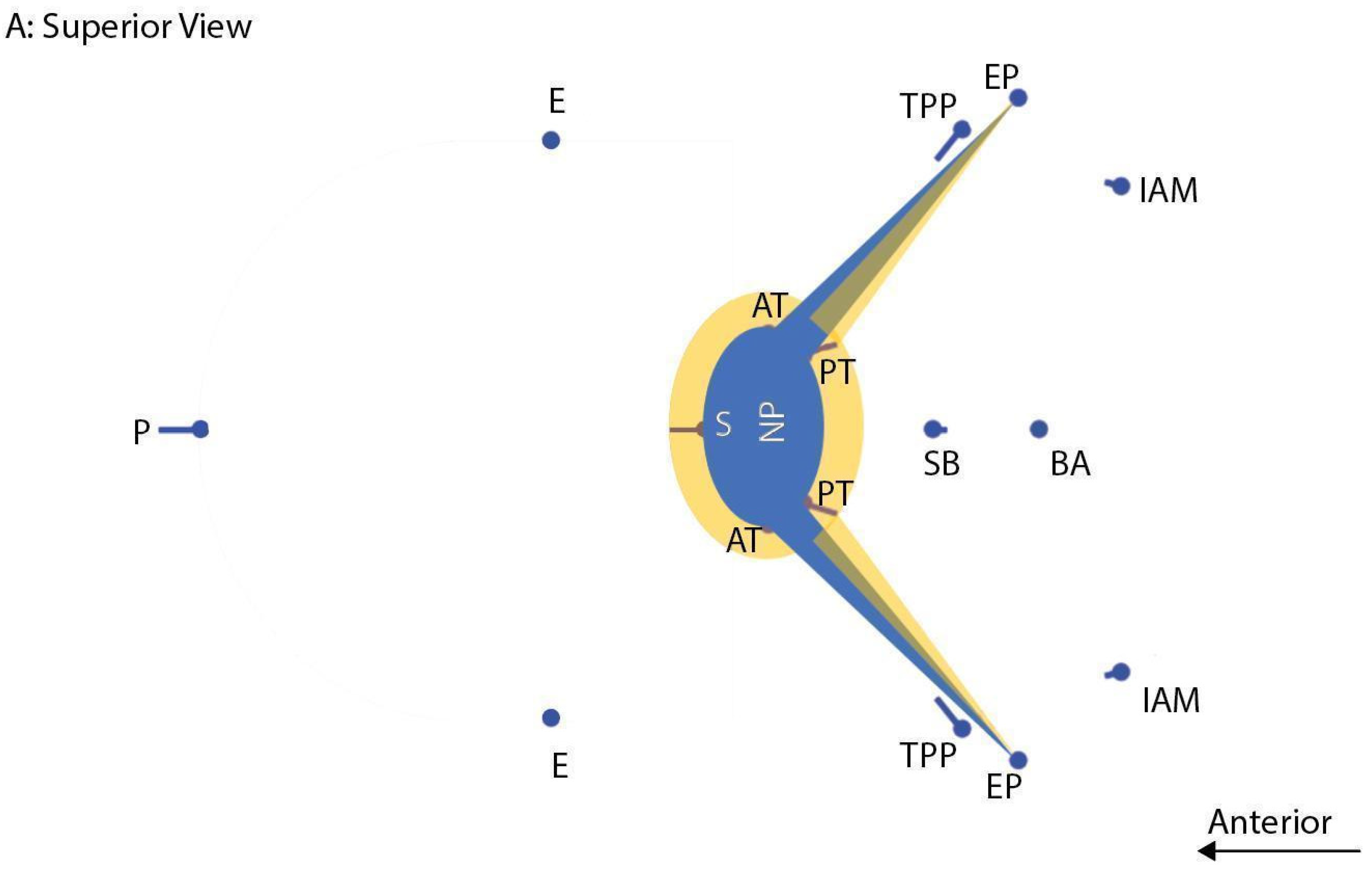 Bioengineering 10 01115 g009a