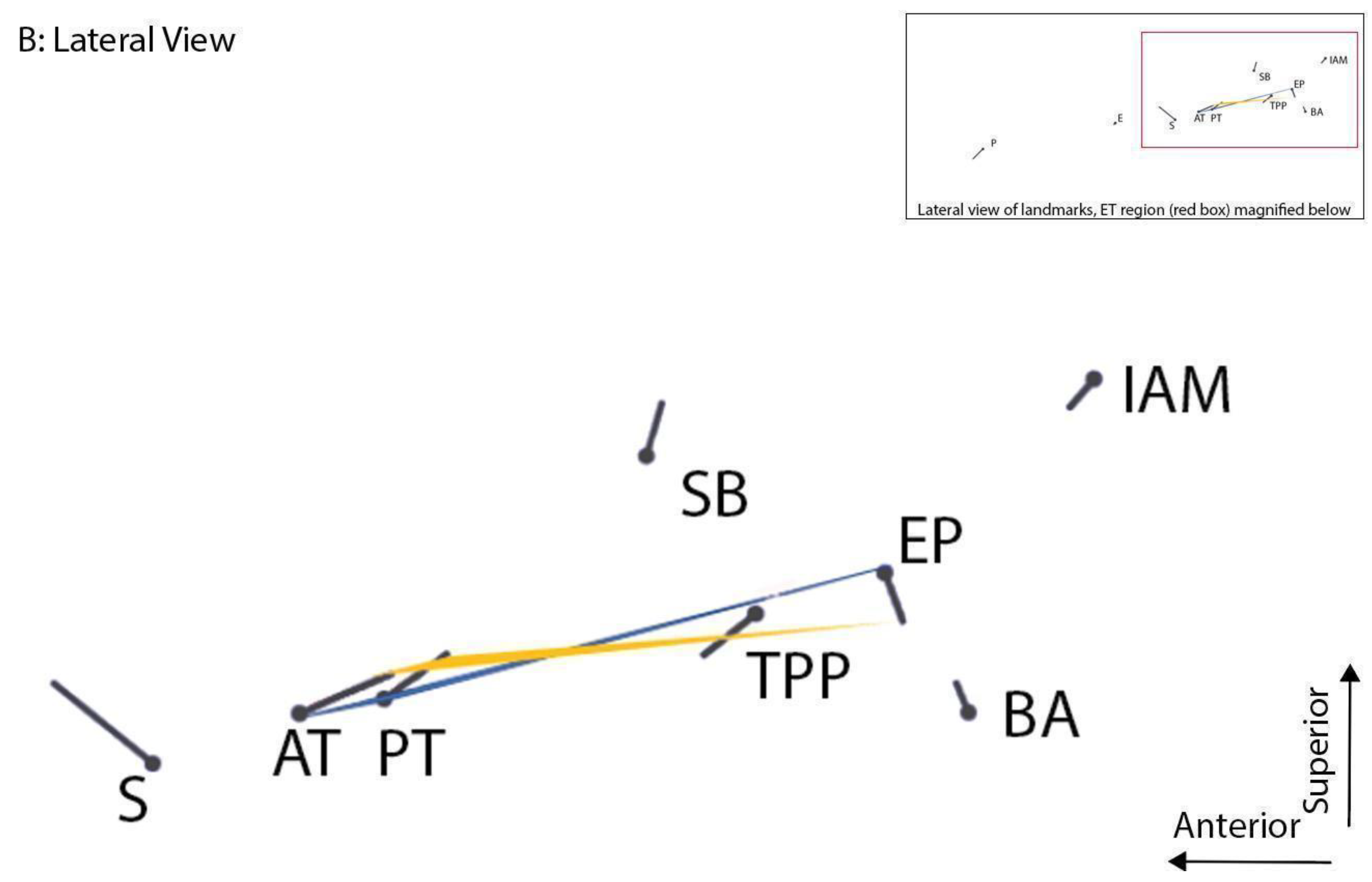 Bioengineering 10 01115 g009b