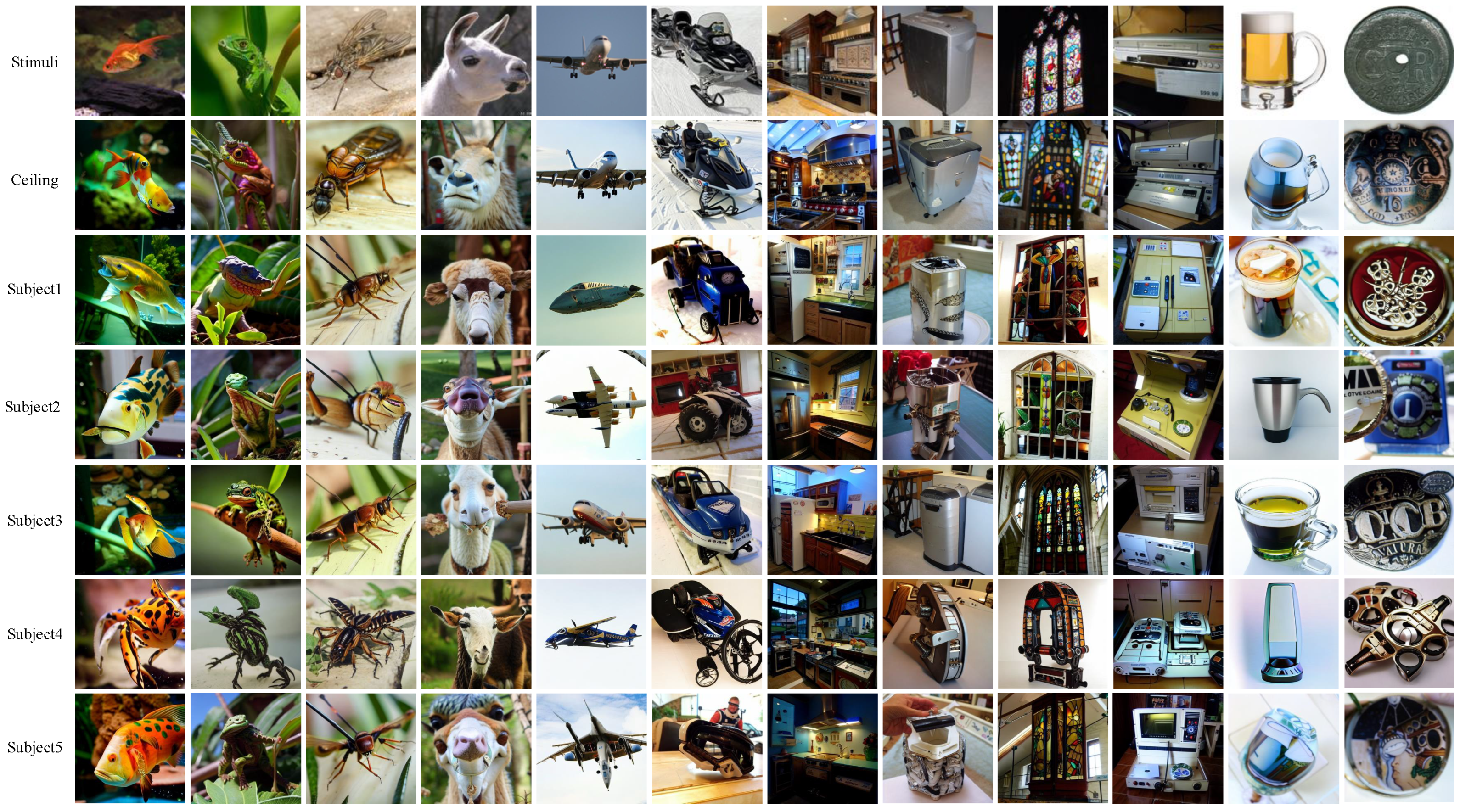 Bioengineering 10 01117 g003