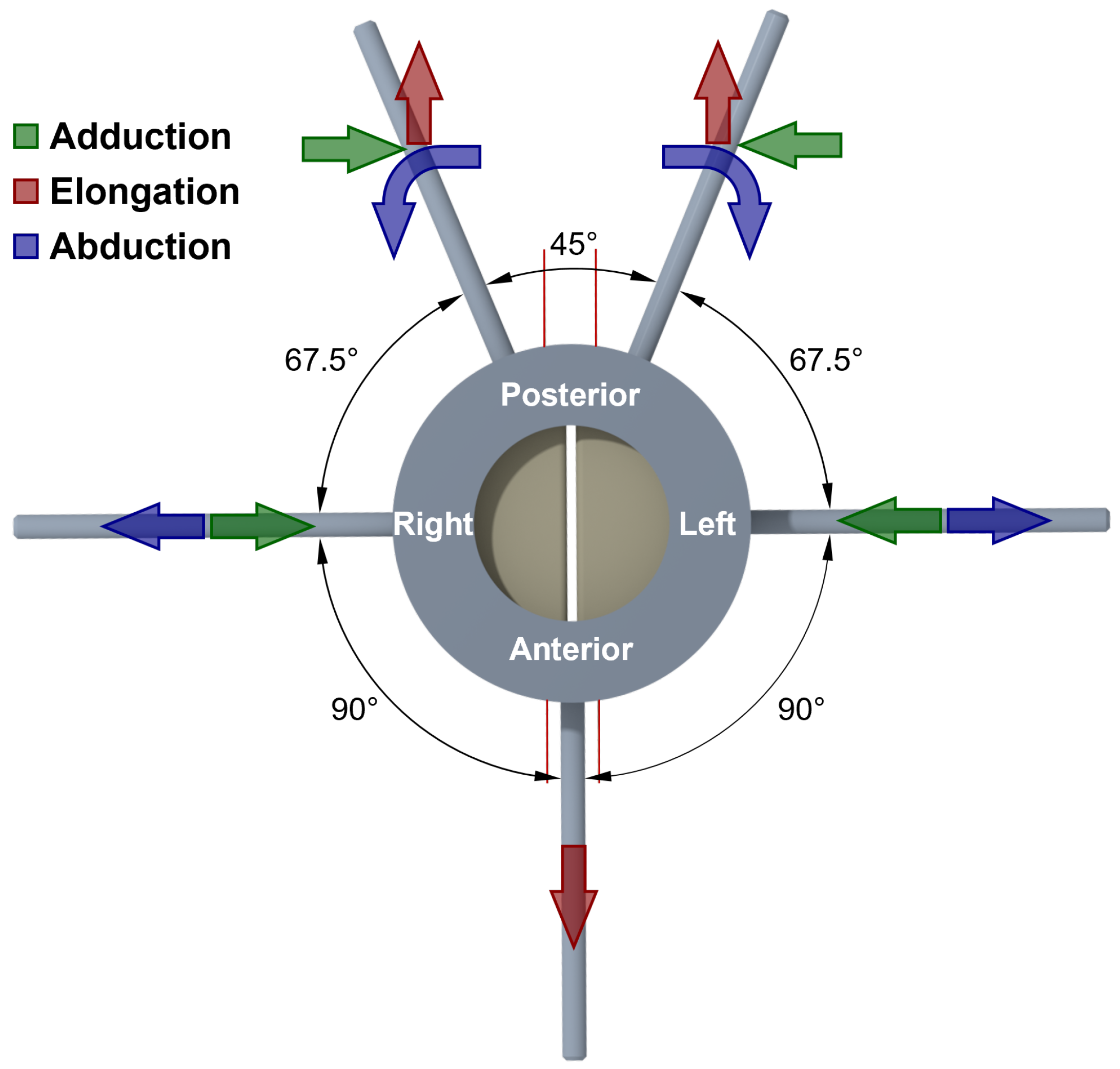 Bioengineering 10 01130 g003