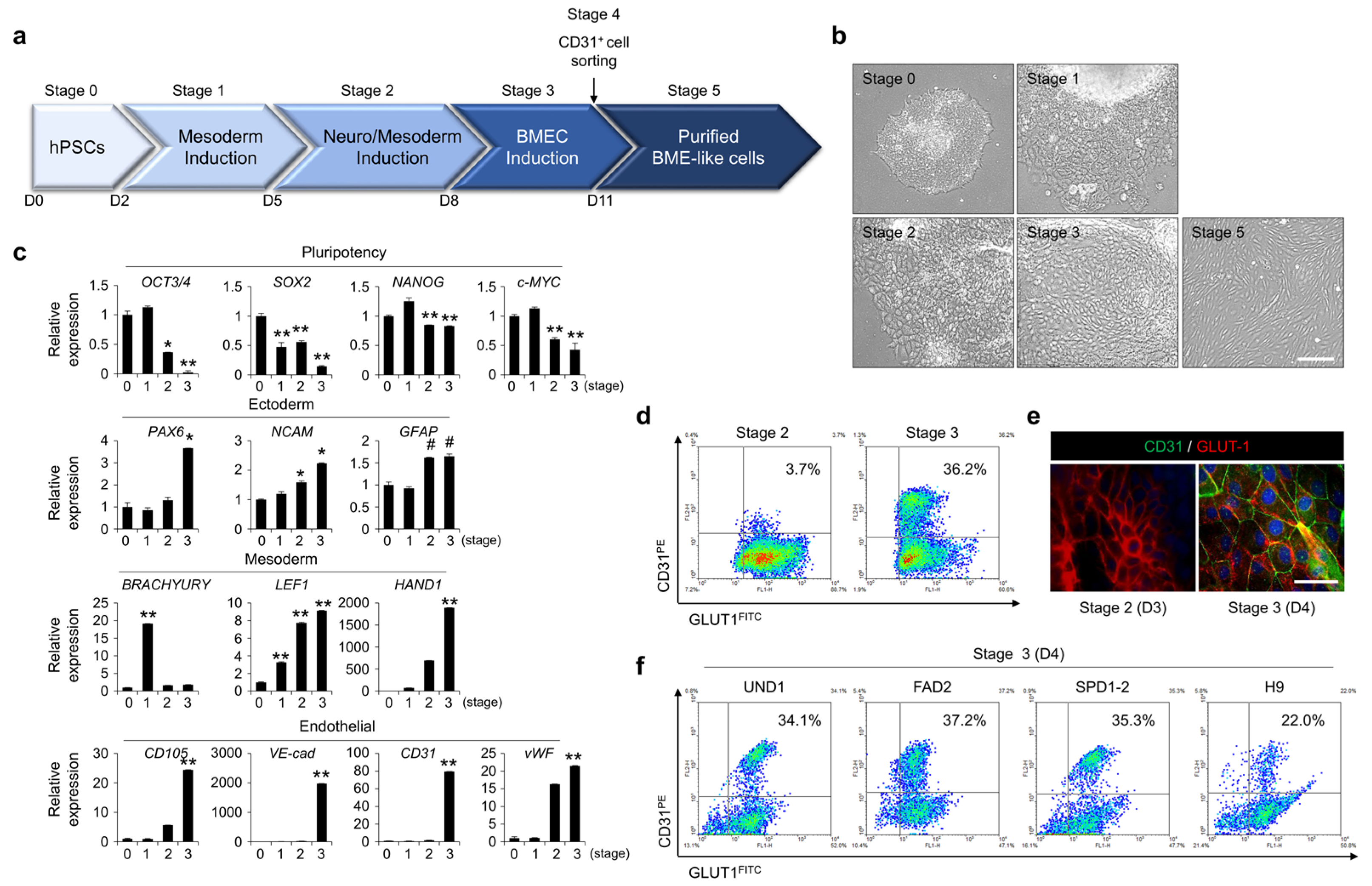 Bioengineering 10 01132 g001