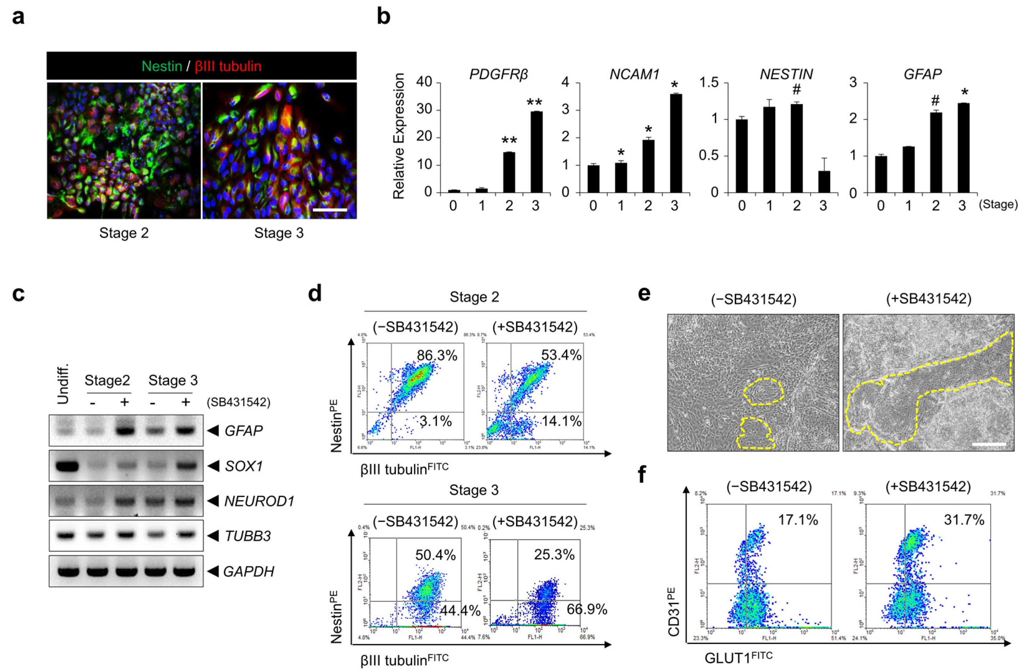 Bioengineering 10 01132 g004
