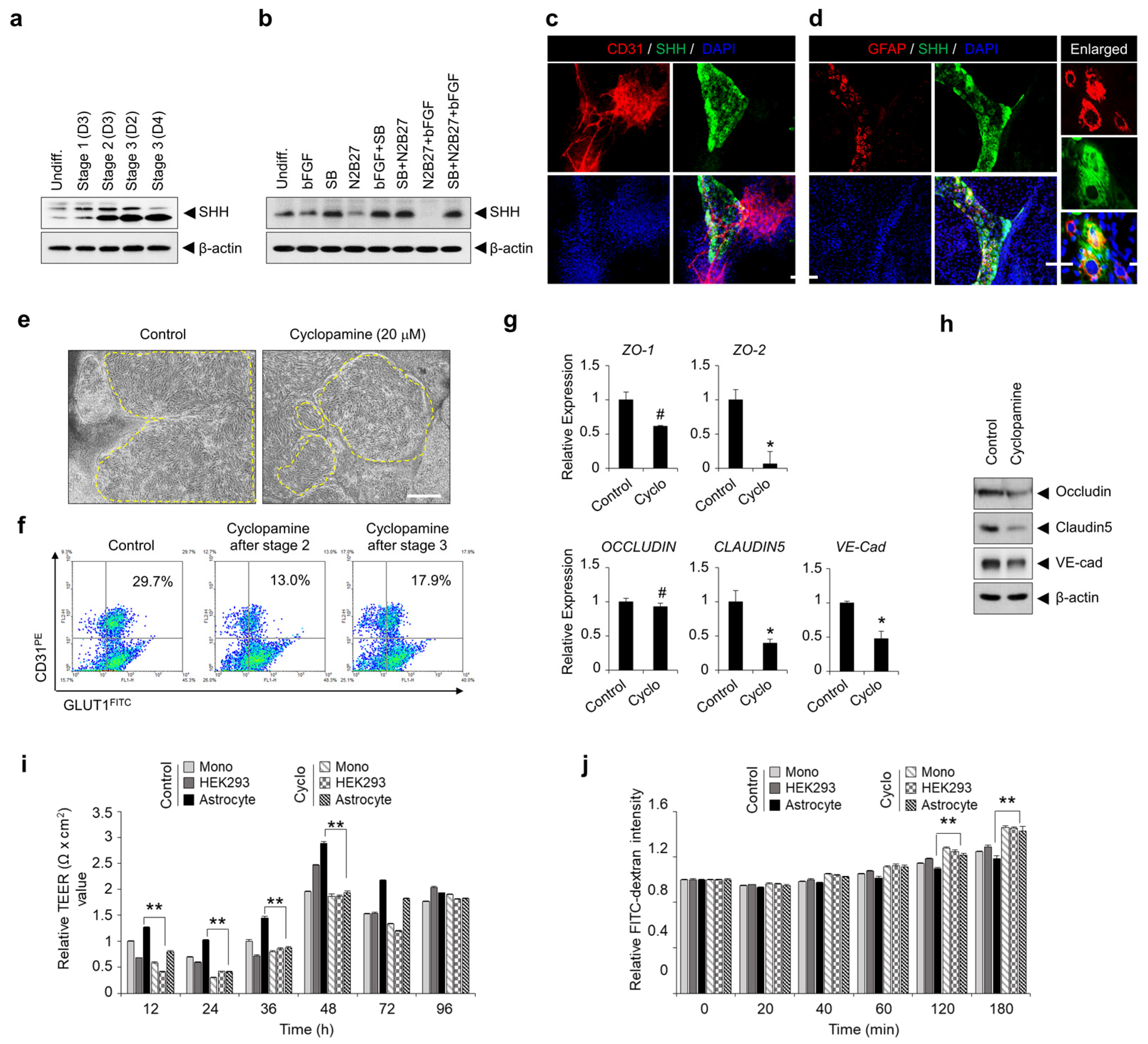 Bioengineering 10 01132 g005