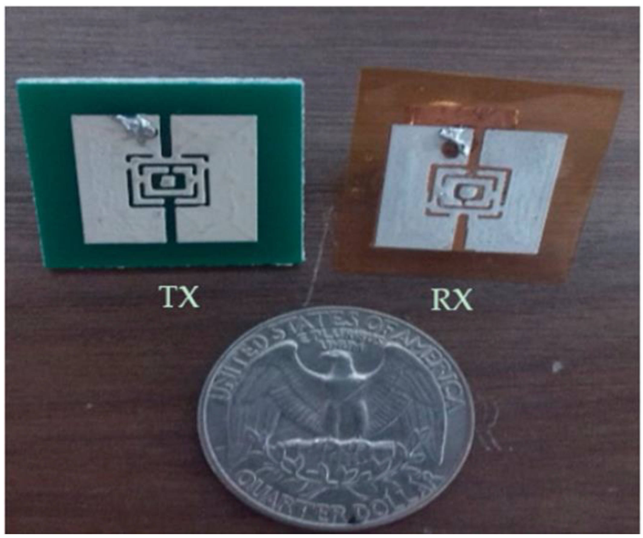 Bioengineering 10 01137 g002