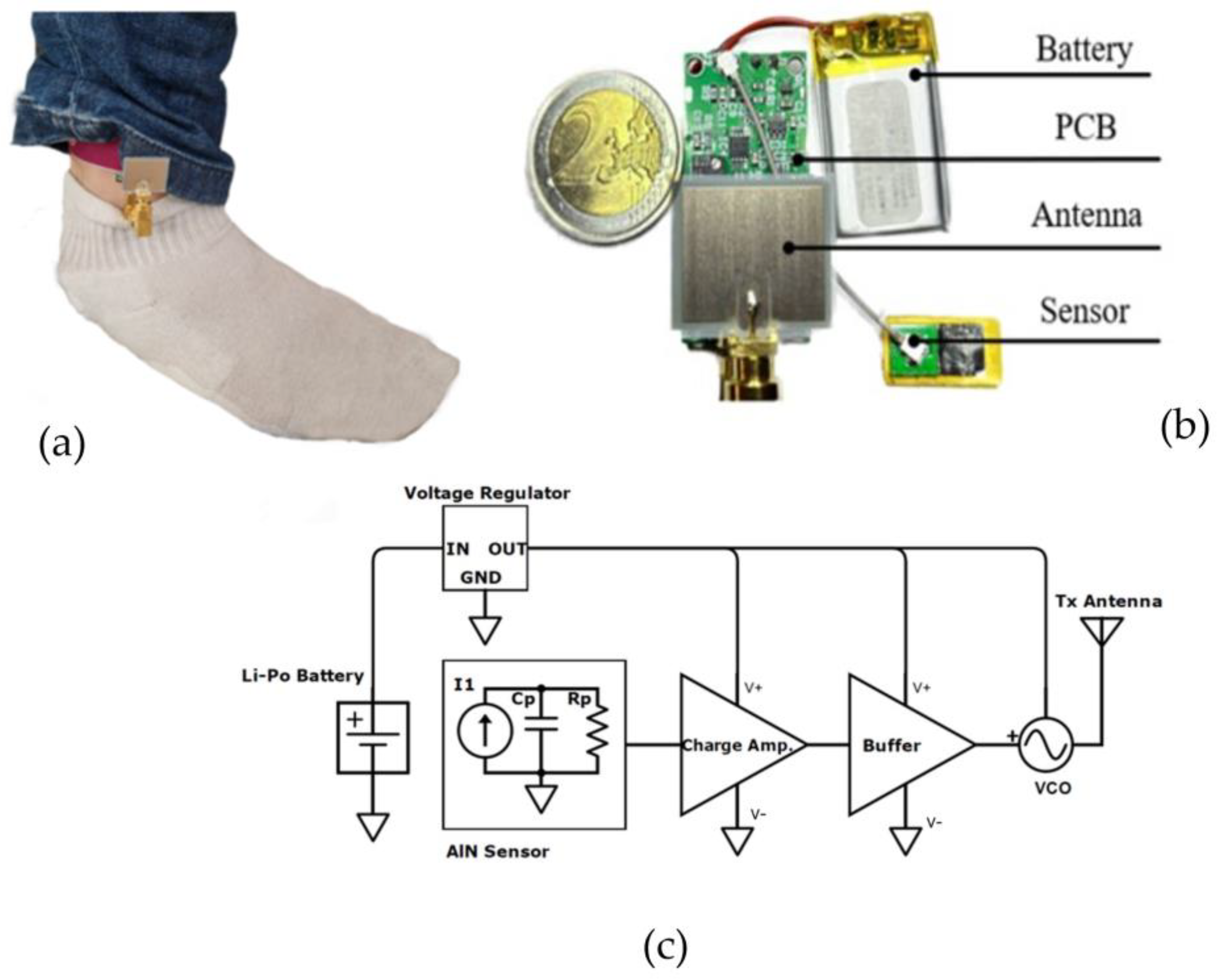 Bioengineering 10 01137 g007