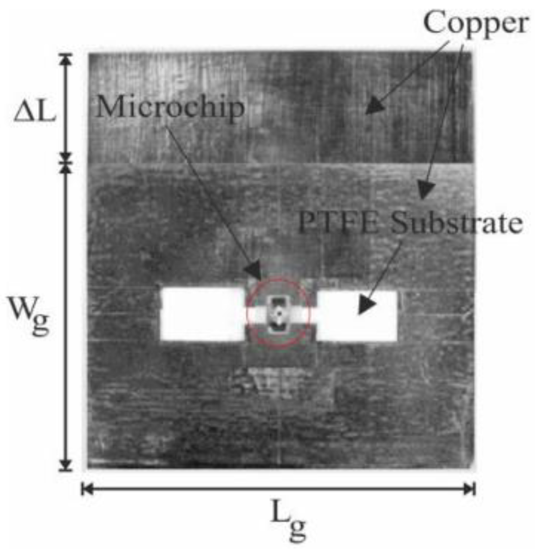Bioengineering 10 01137 g008