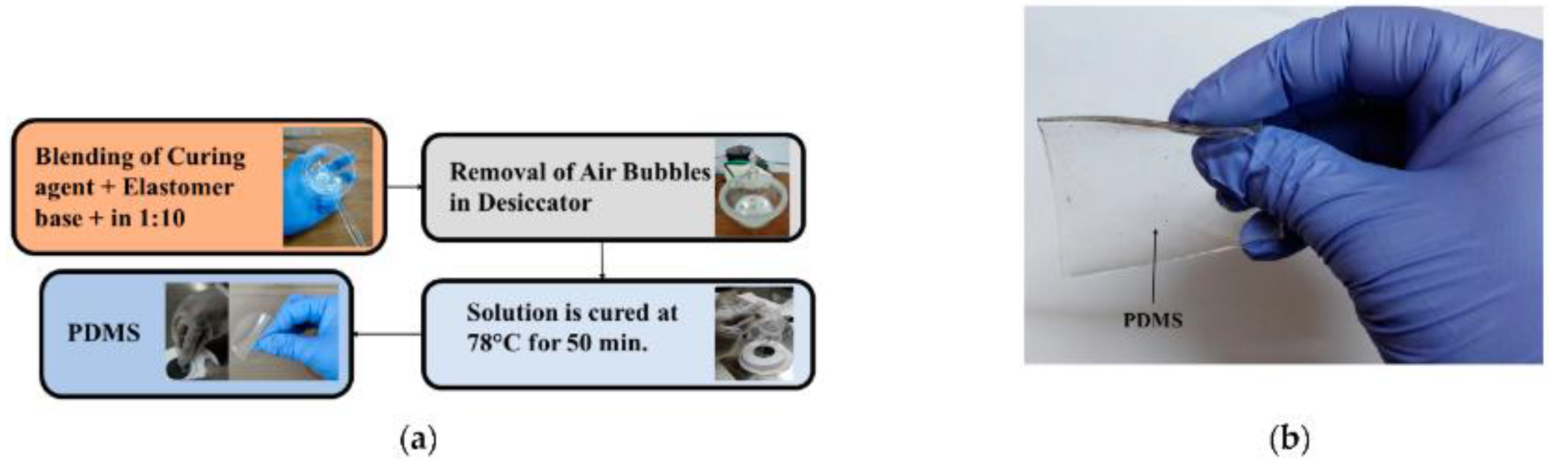 Bioengineering 10 01137 g012