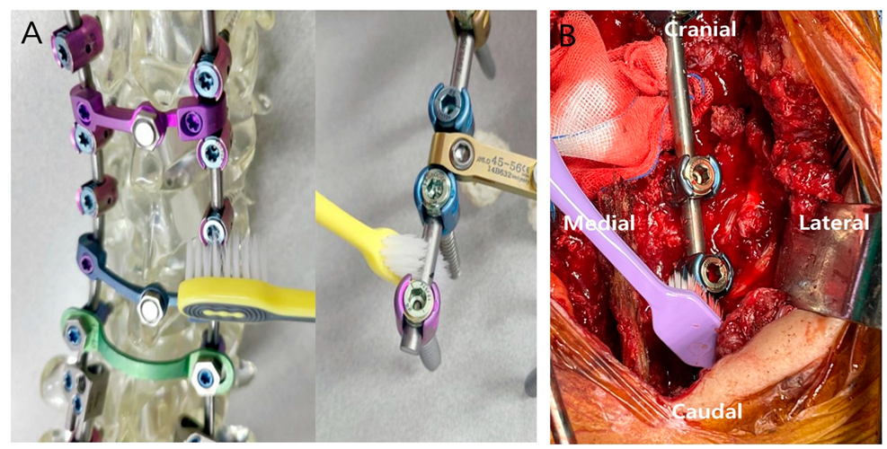 Bioengineering 10 01143 g001 Bioengineering 10 01143 g001