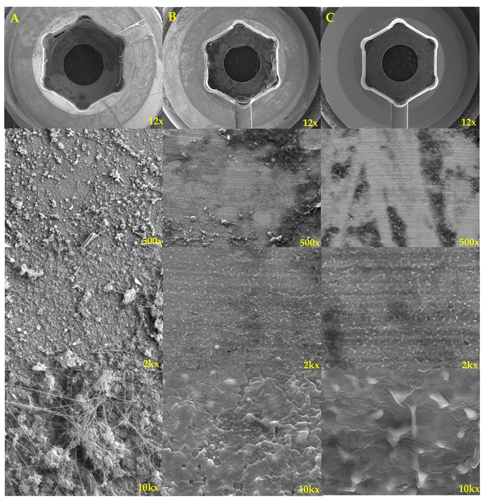 Bioengineering 10 01143 g003 Bioengineering 10 01143 g003