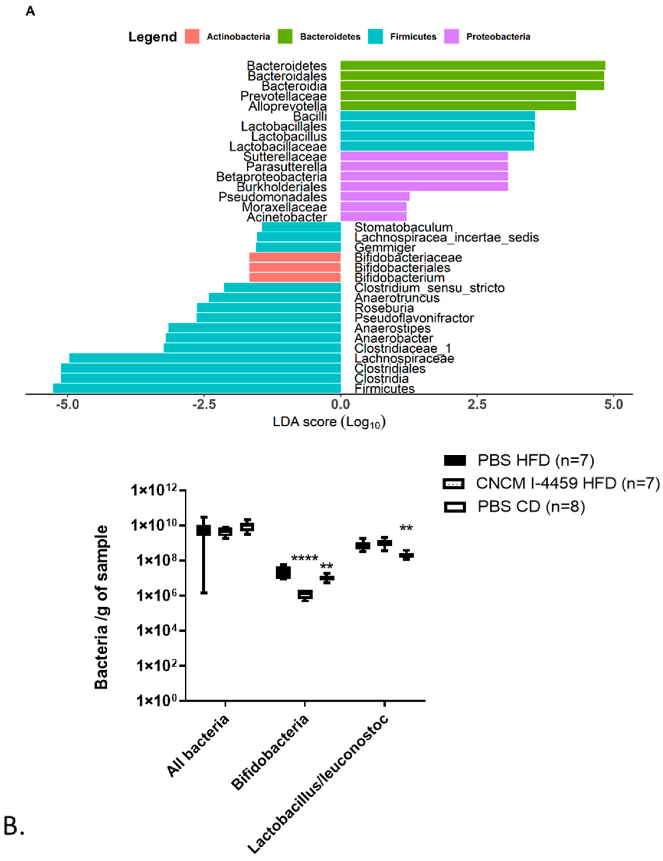 Bioengineering 10 01151 g006
