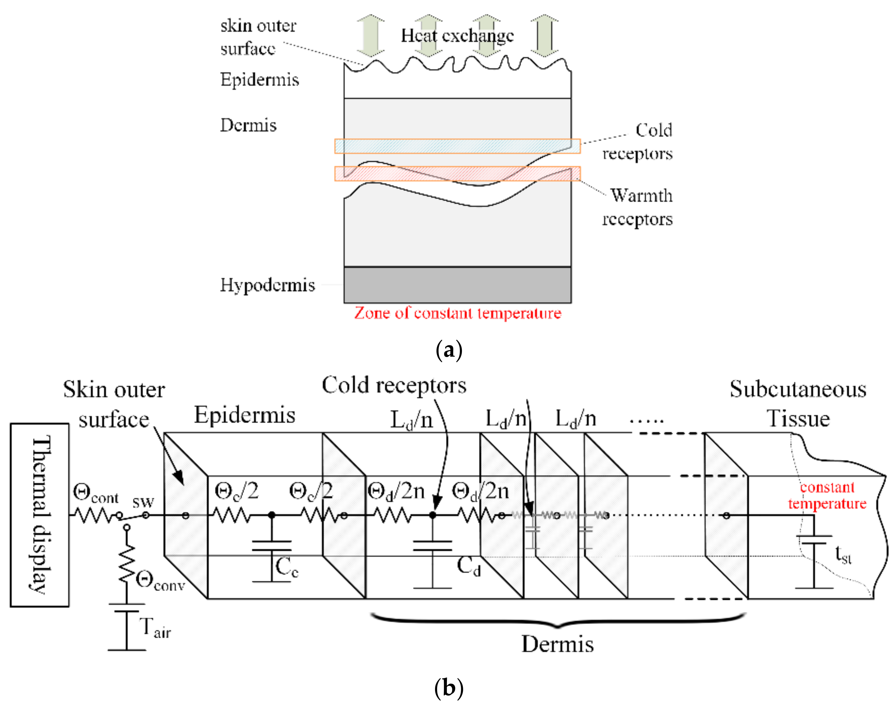 Bioengineering 10 01156 g001