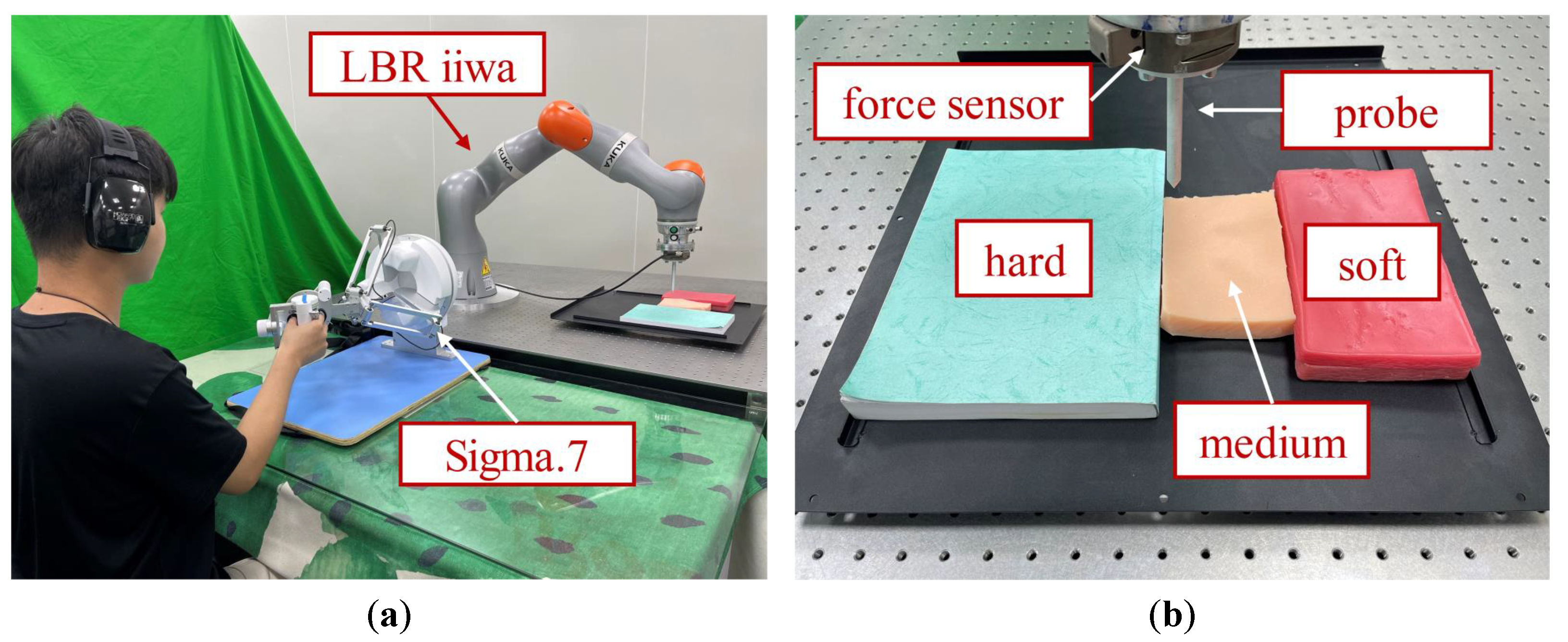 Bioengineering 10 01157 g004