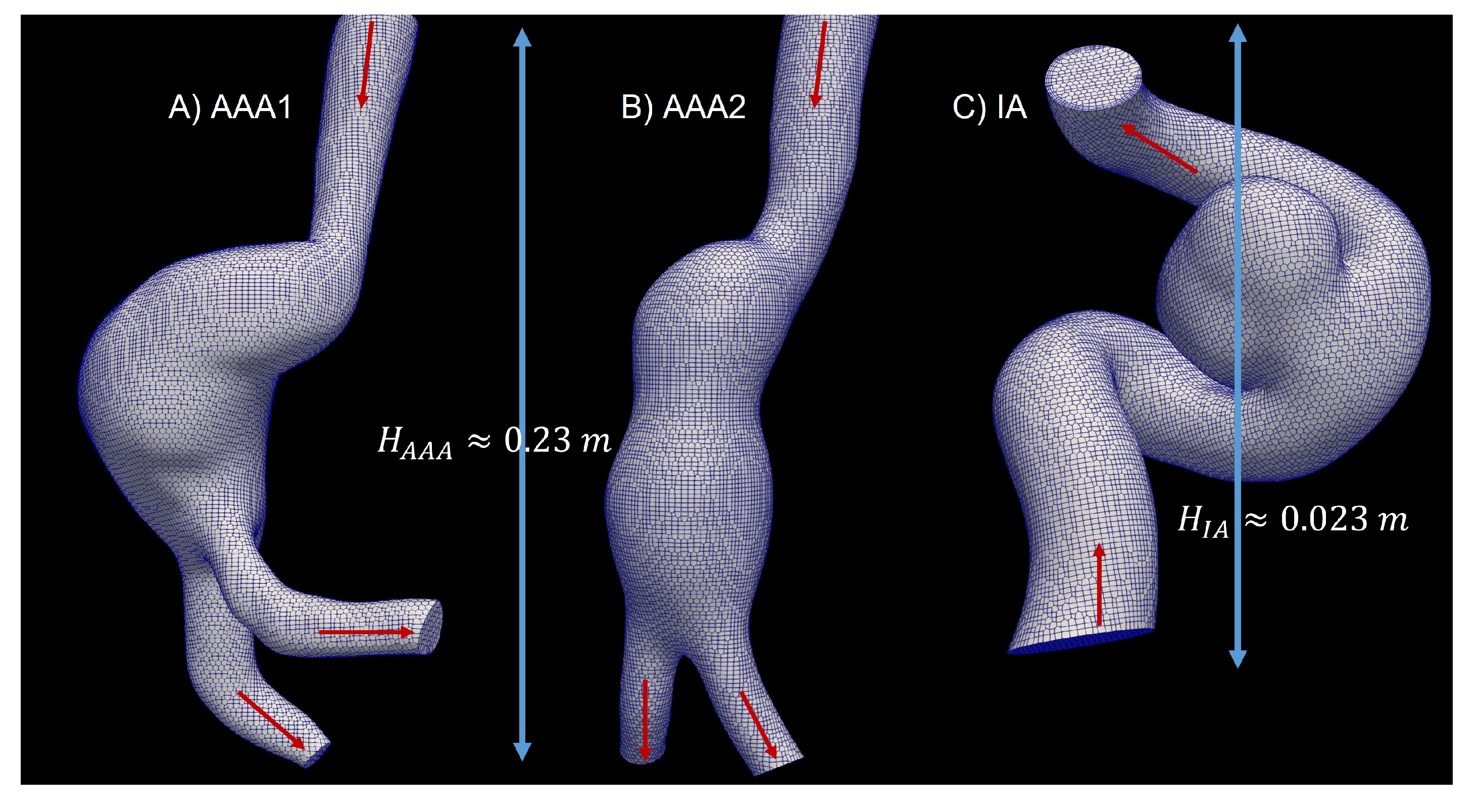 Bioengineering 10 01170 g001