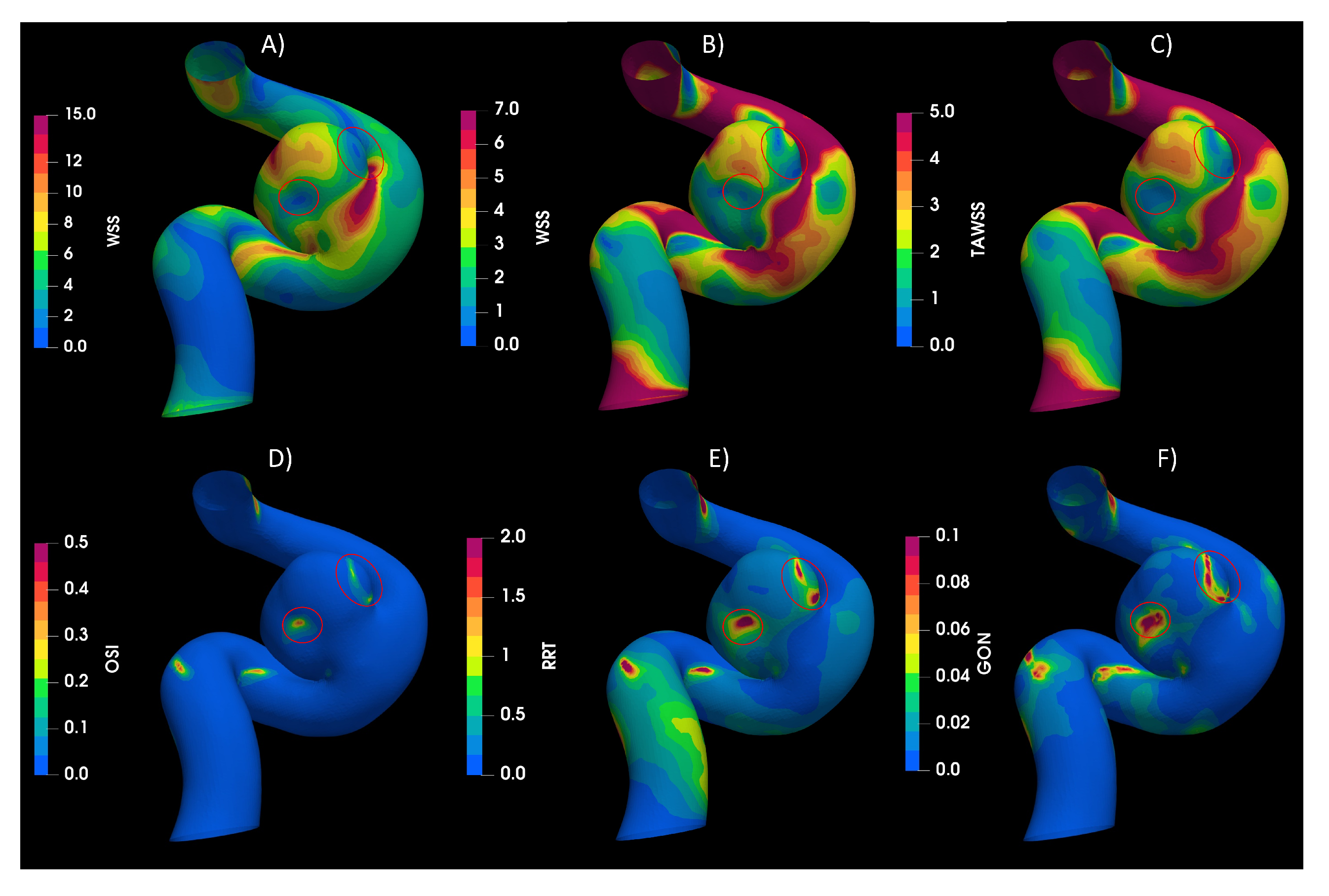 Bioengineering 10 01170 g003
