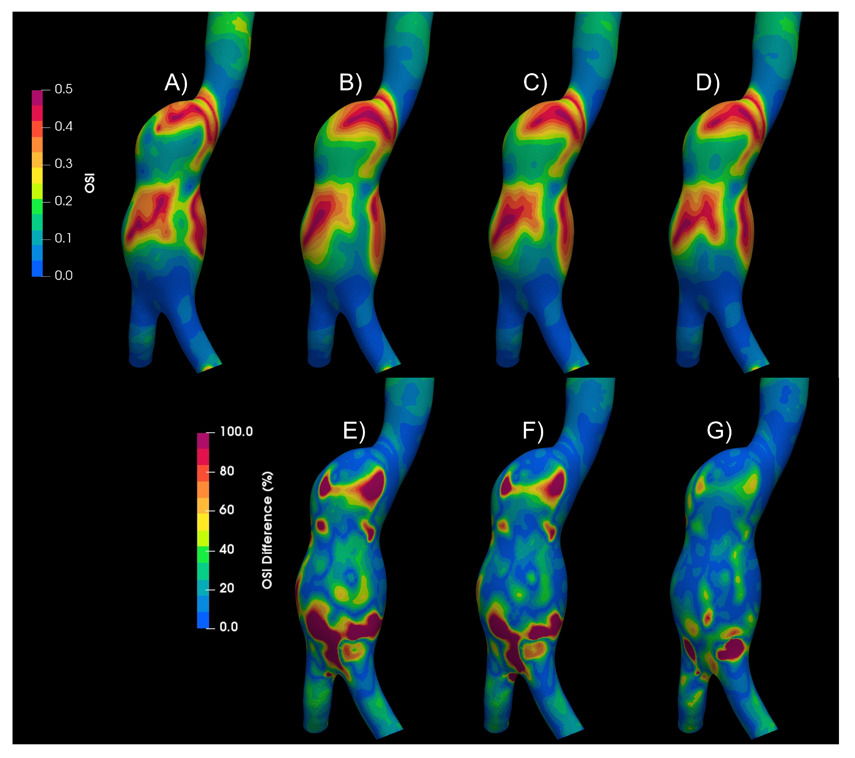 Bioengineering 10 01170 g005