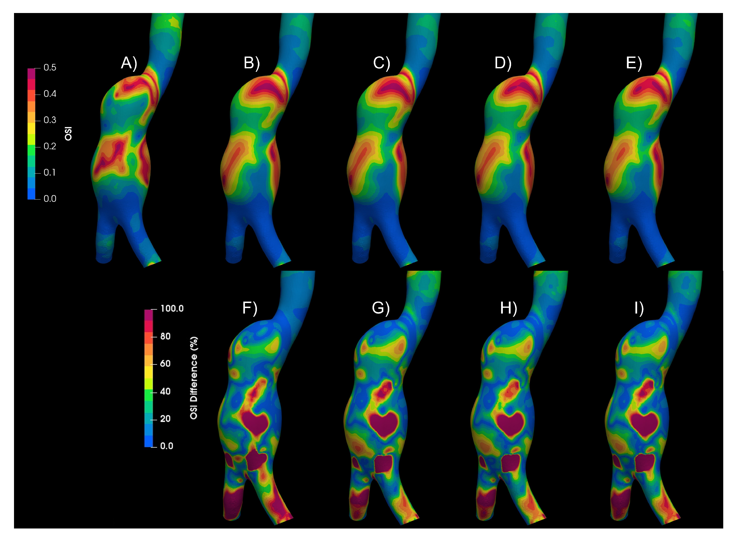 Bioengineering 10 01170 g010
