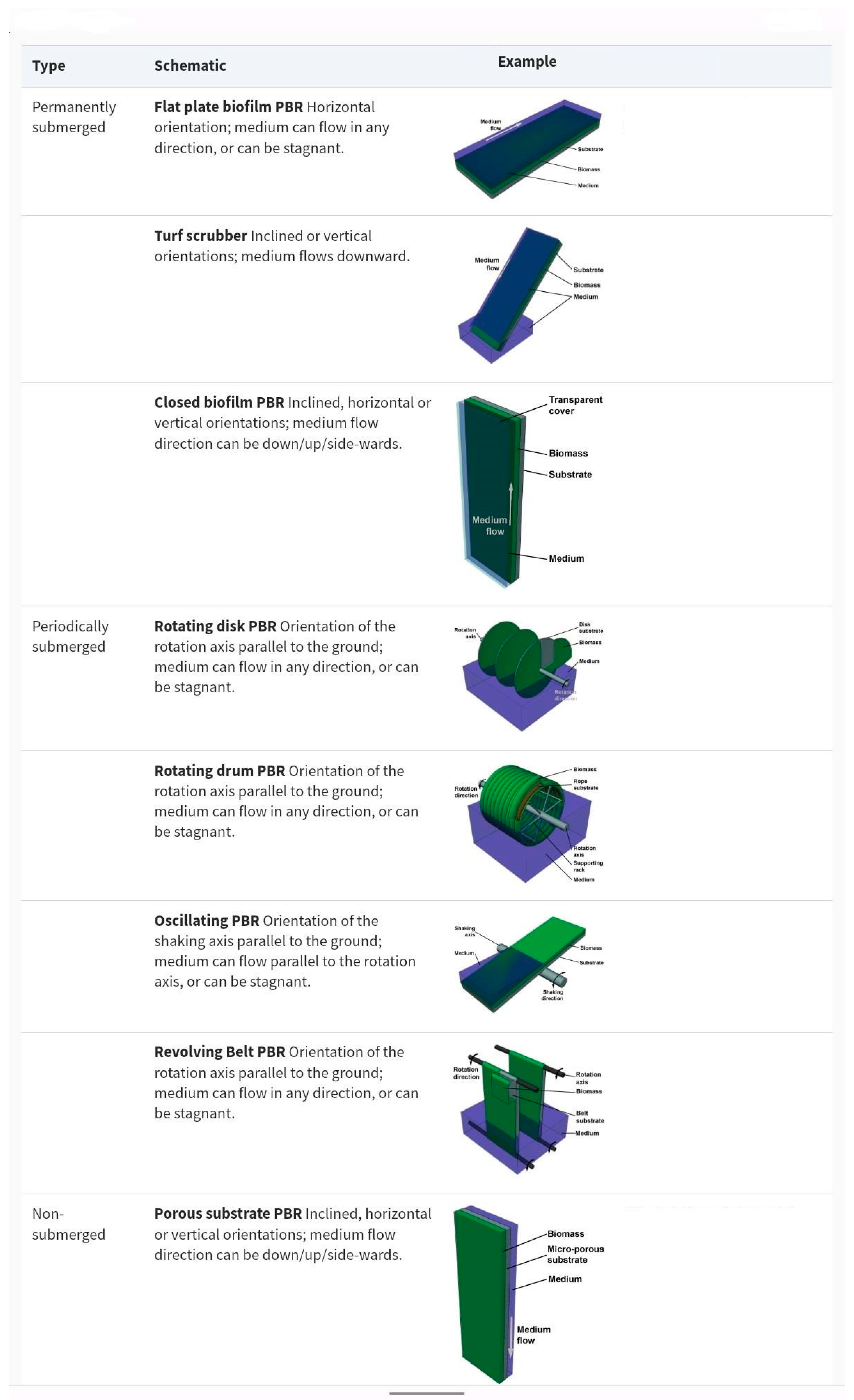 Bioengineering 10 01173 g001