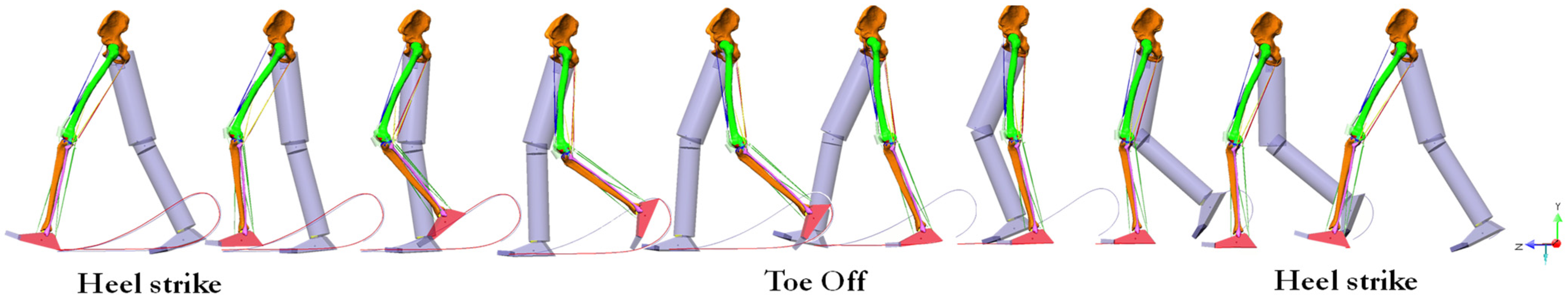 Bioengineering 10 01178 g002