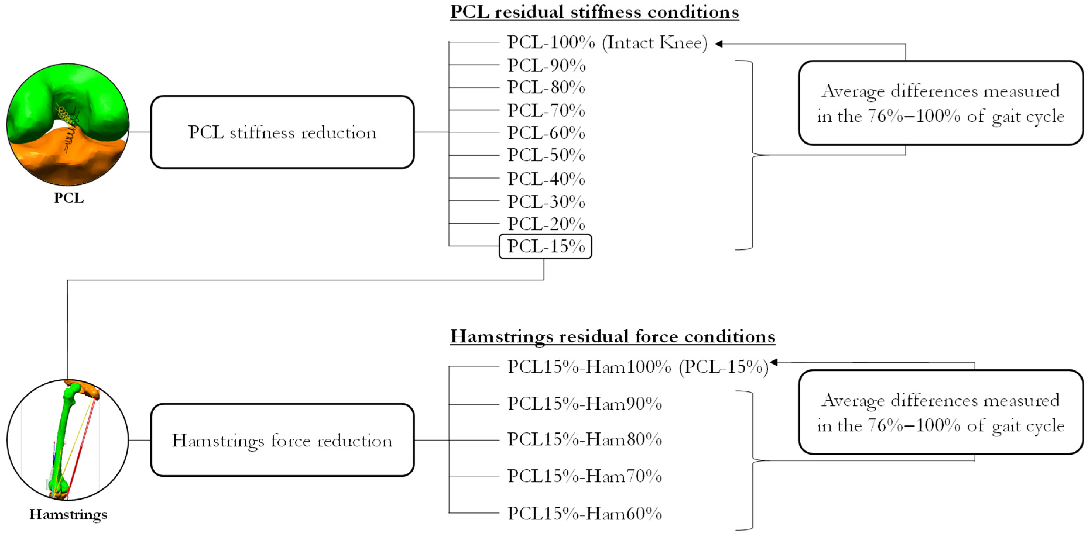 Bioengineering 10 01178 g004
