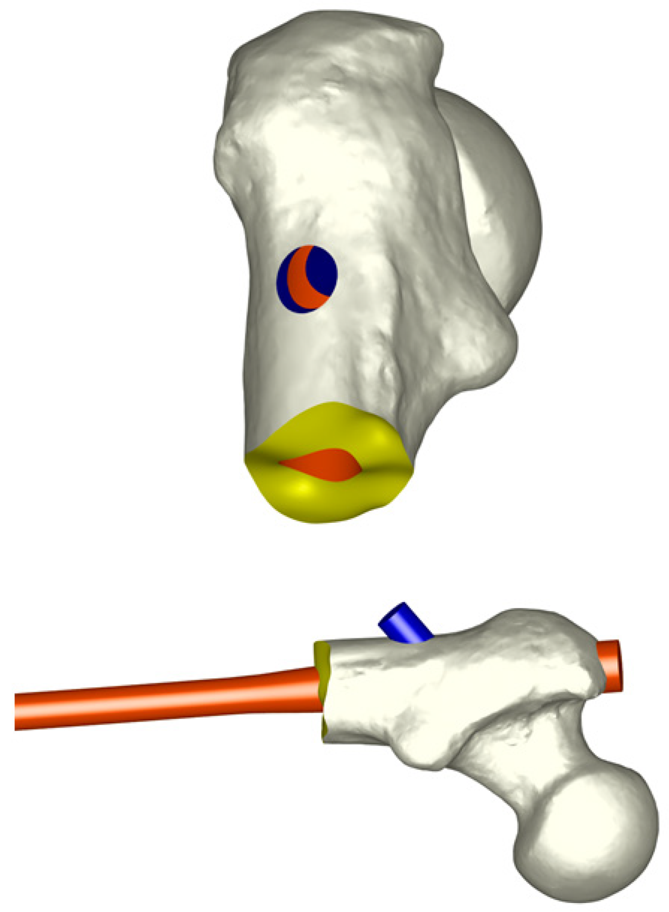Bioengineering 10 01179 g003