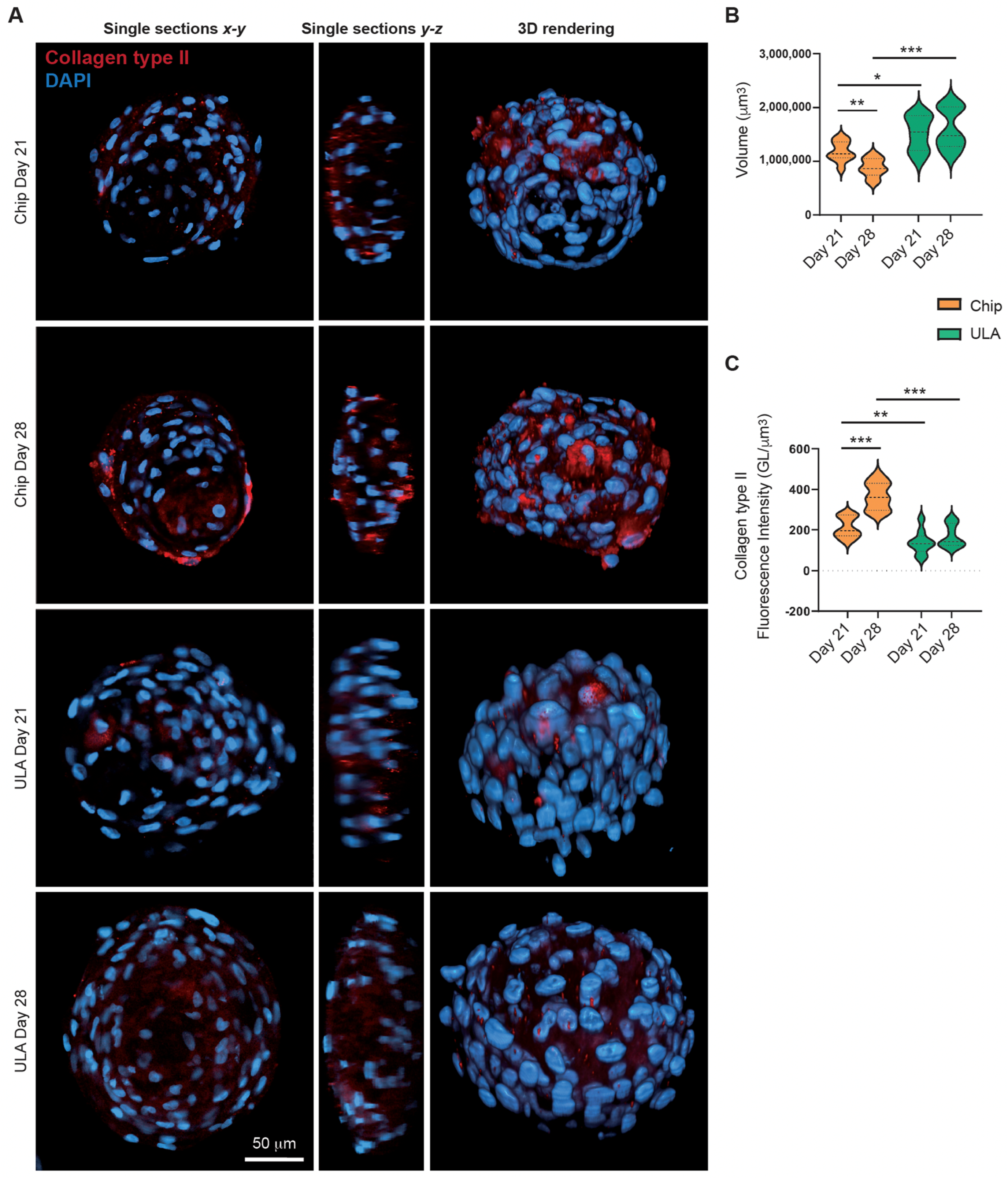 Bioengineering 10 01182 g003