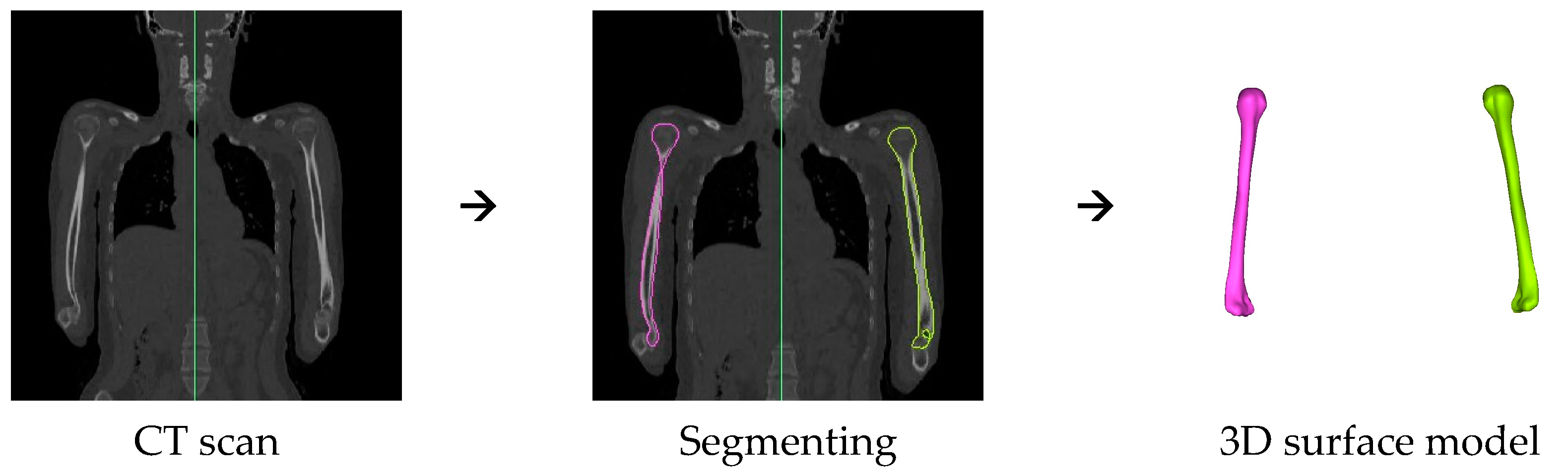 Bioengineering 10 01185 g001