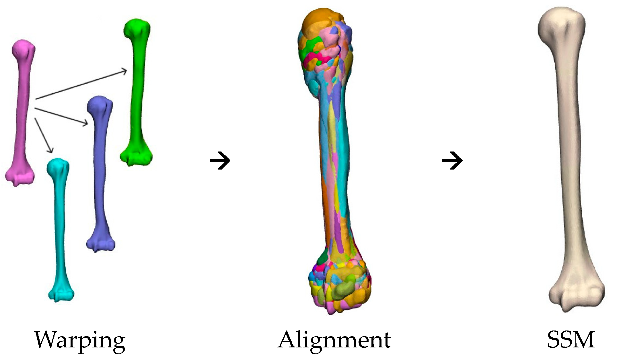 Bioengineering 10 01185 g002