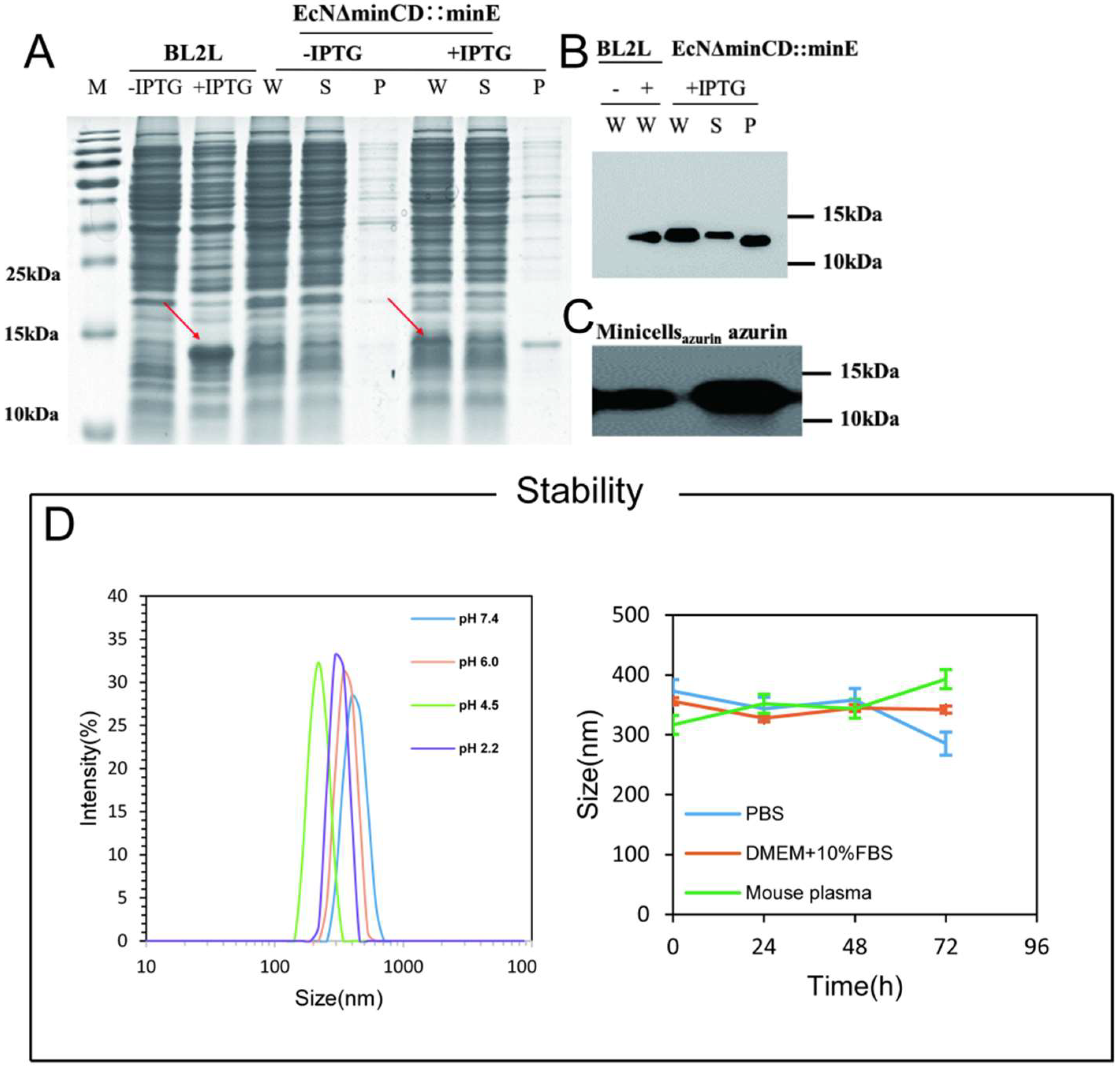 Bioengineering 10 01188 g002