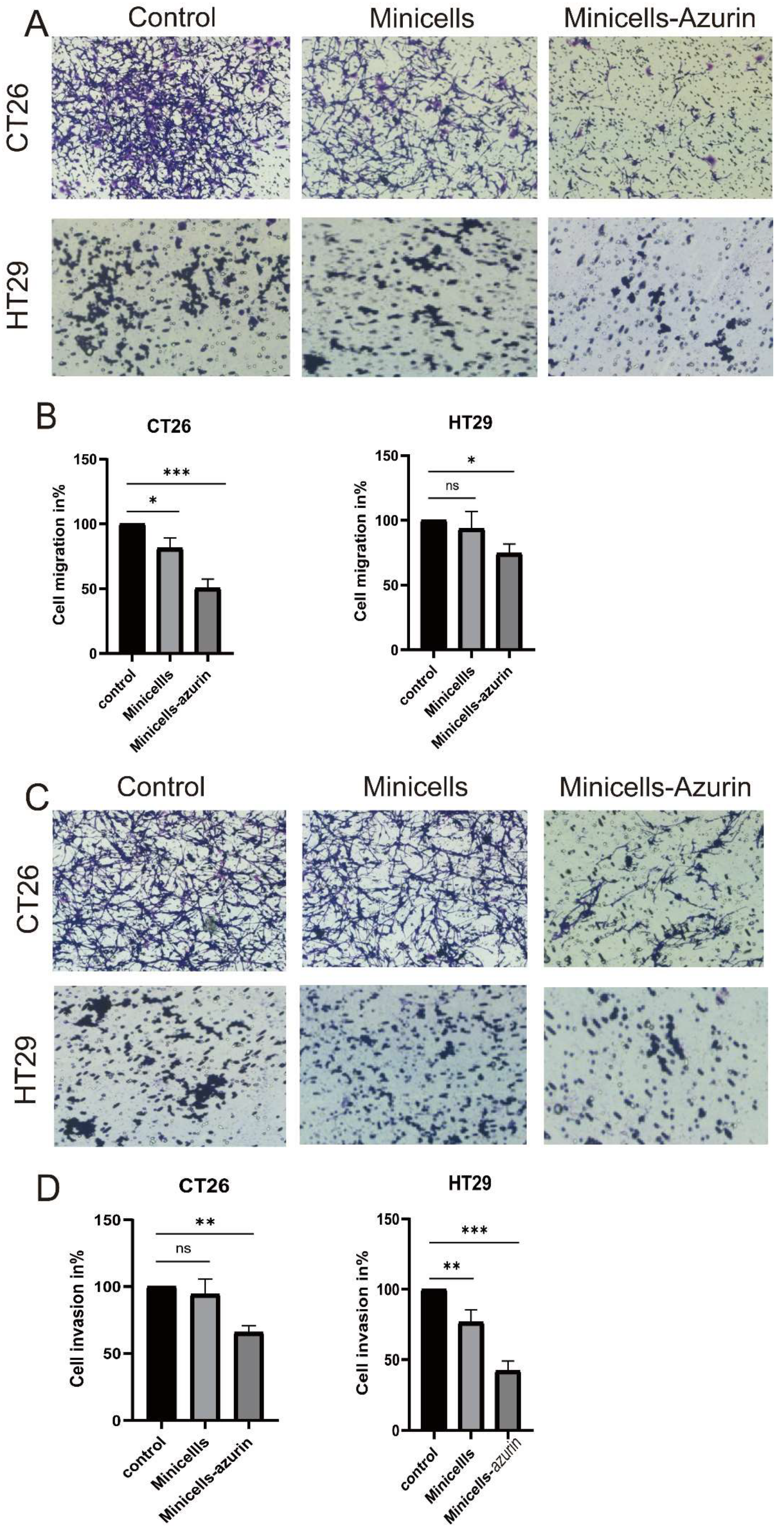 Bioengineering 10 01188 g004