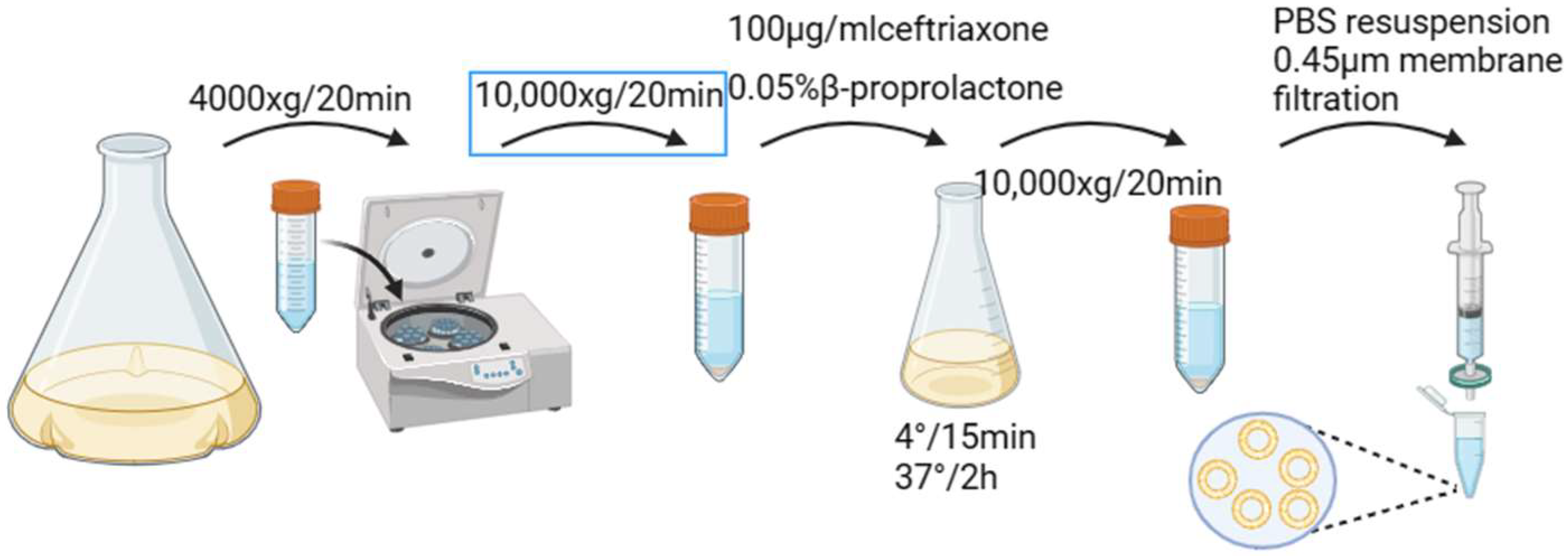 Bioengineering 10 01188 sch001