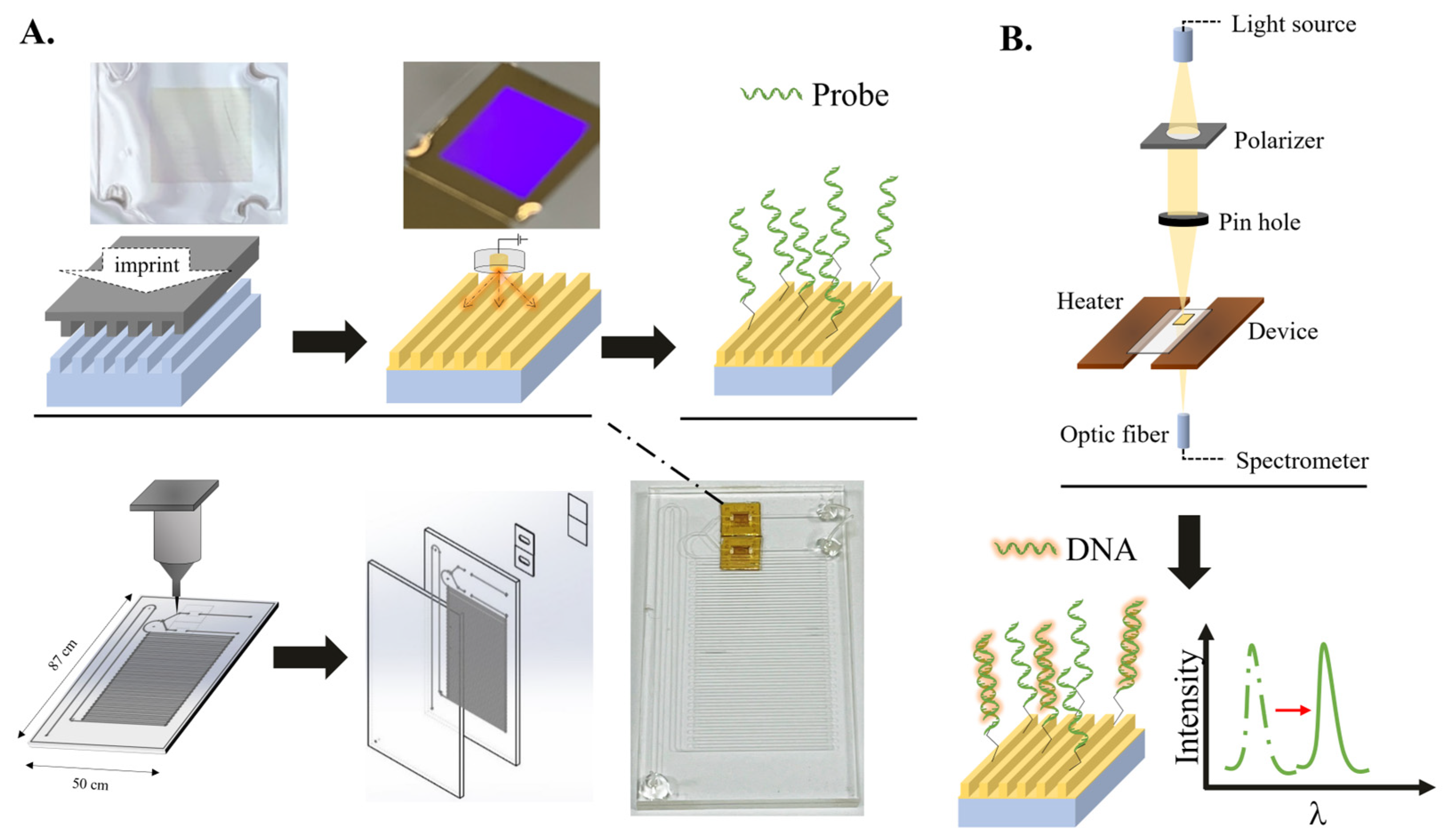 Bioengineering 10 01189 g001