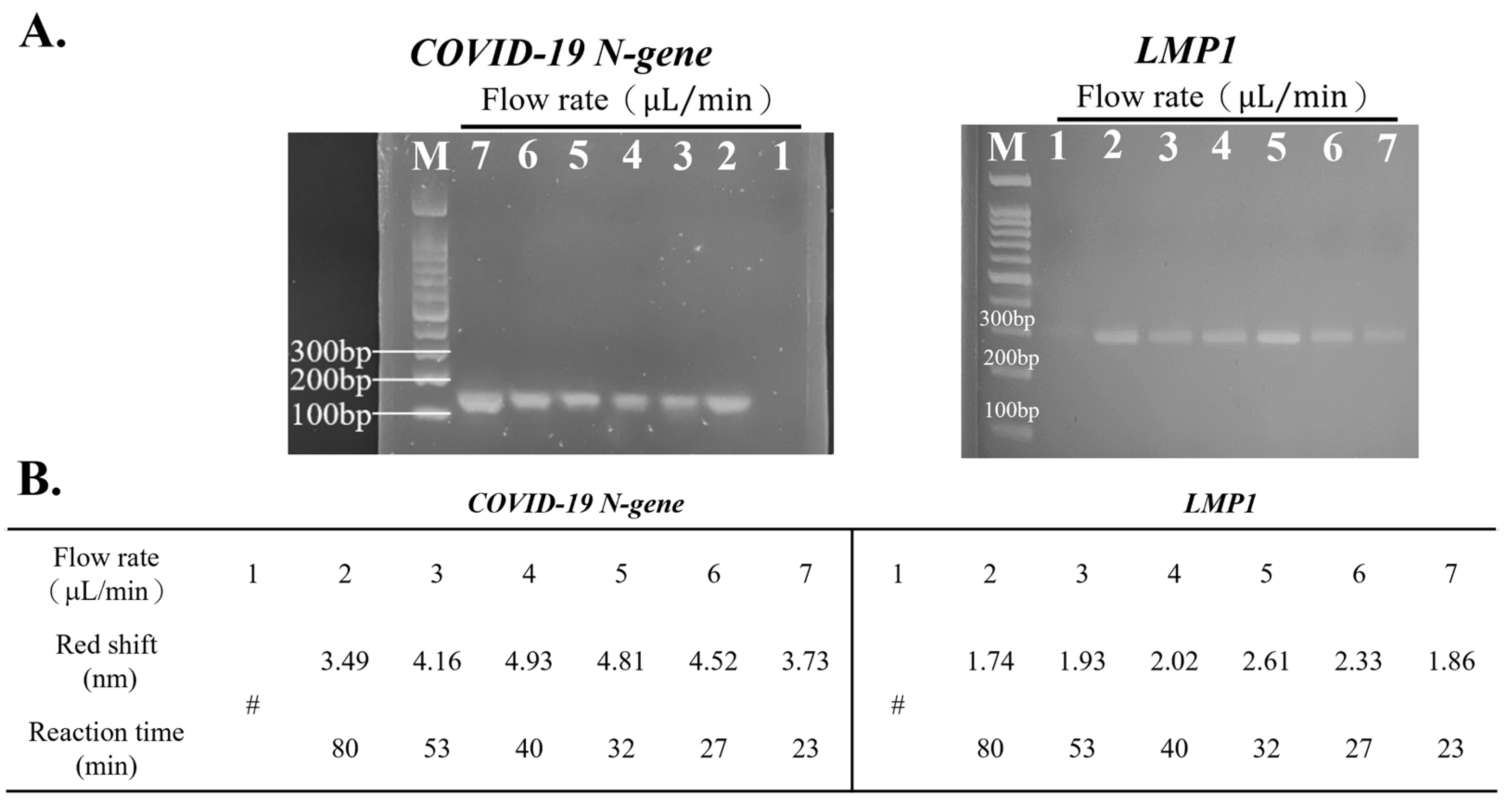 Bioengineering 10 01189 g002