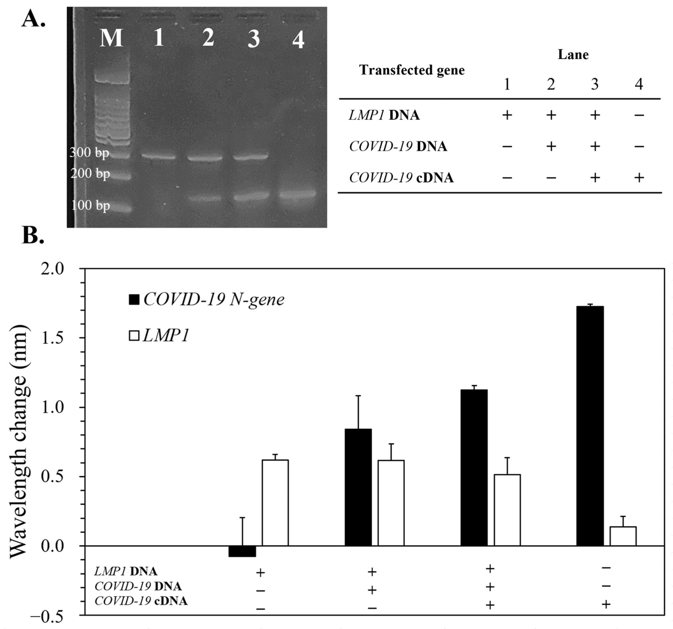 Bioengineering 10 01189 g006