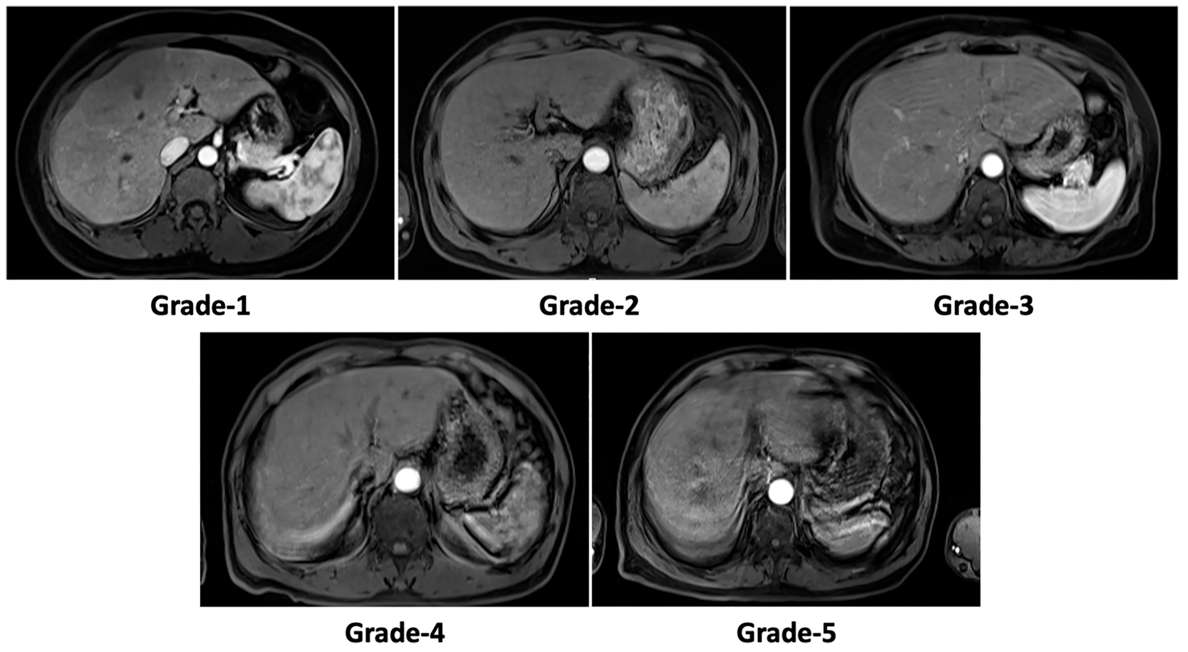 Bioengineering 10 01192 g003 Bioengineering 10 01192 g003