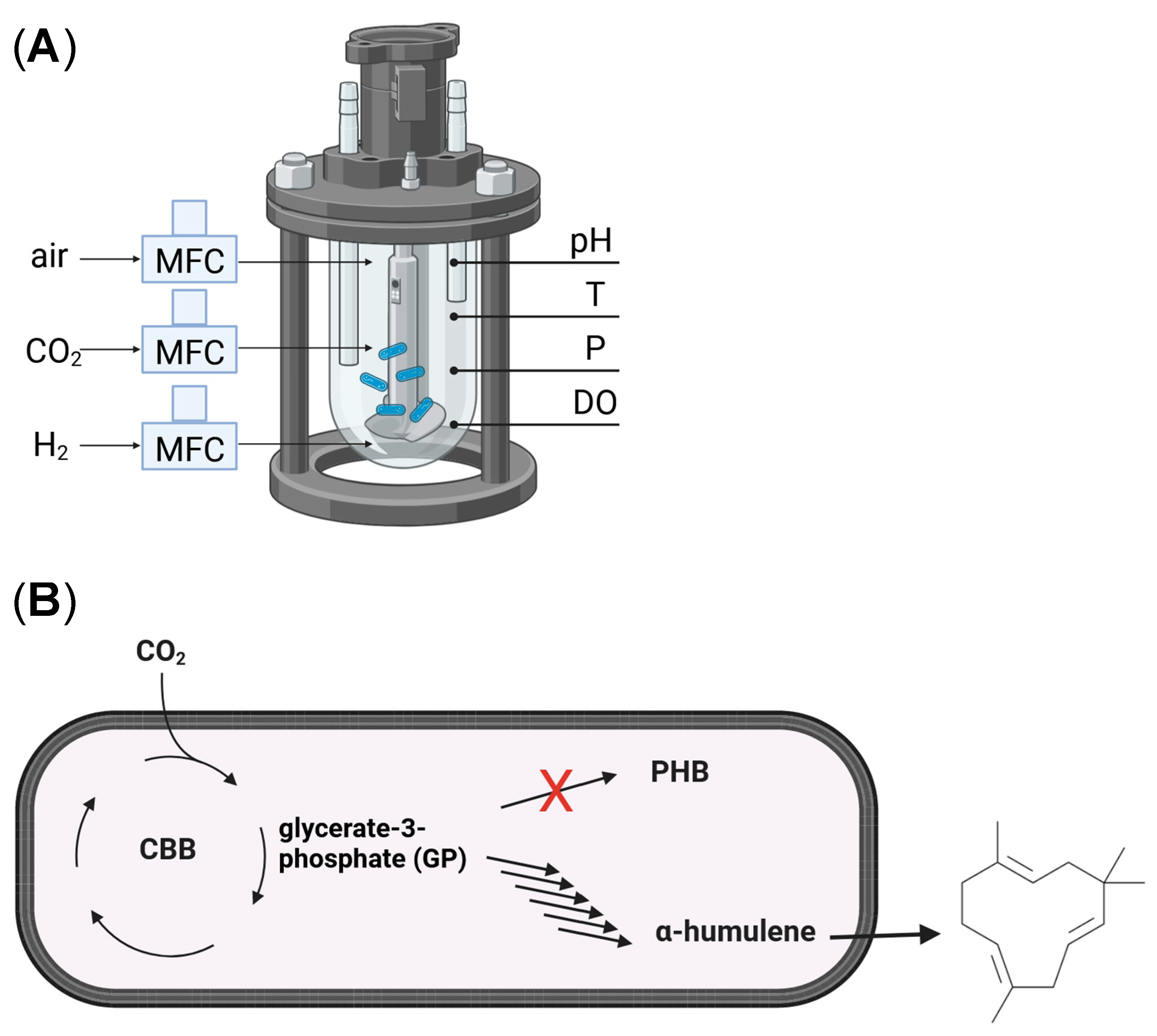 Bioengineering 10 01194 sch001
