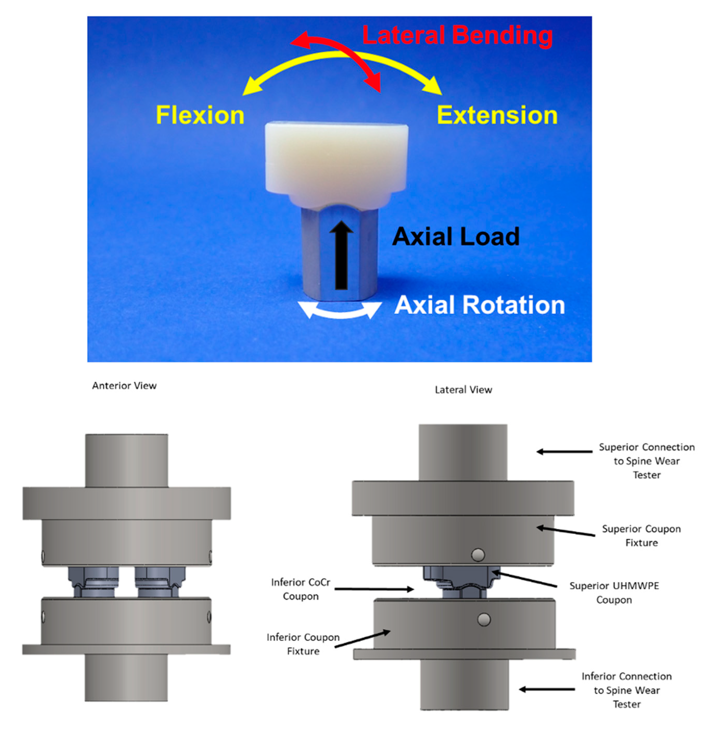 Bioengineering 10 01198 g002