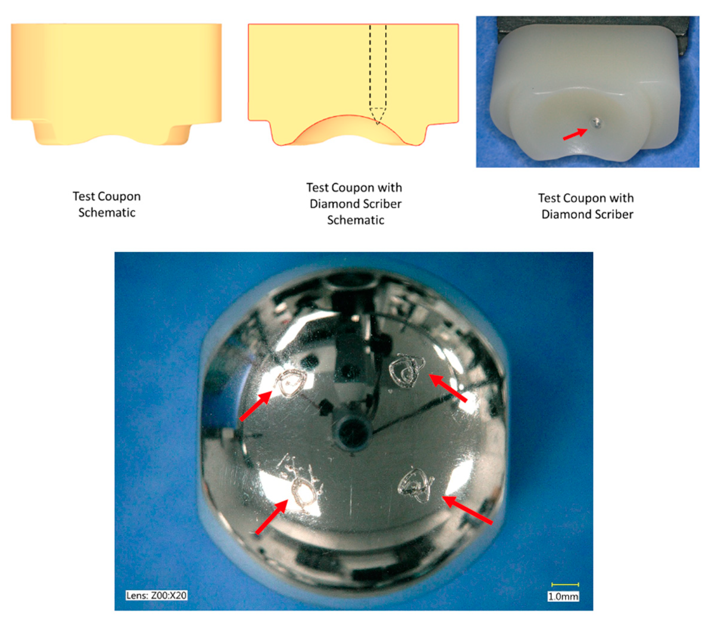Bioengineering 10 01198 g003
