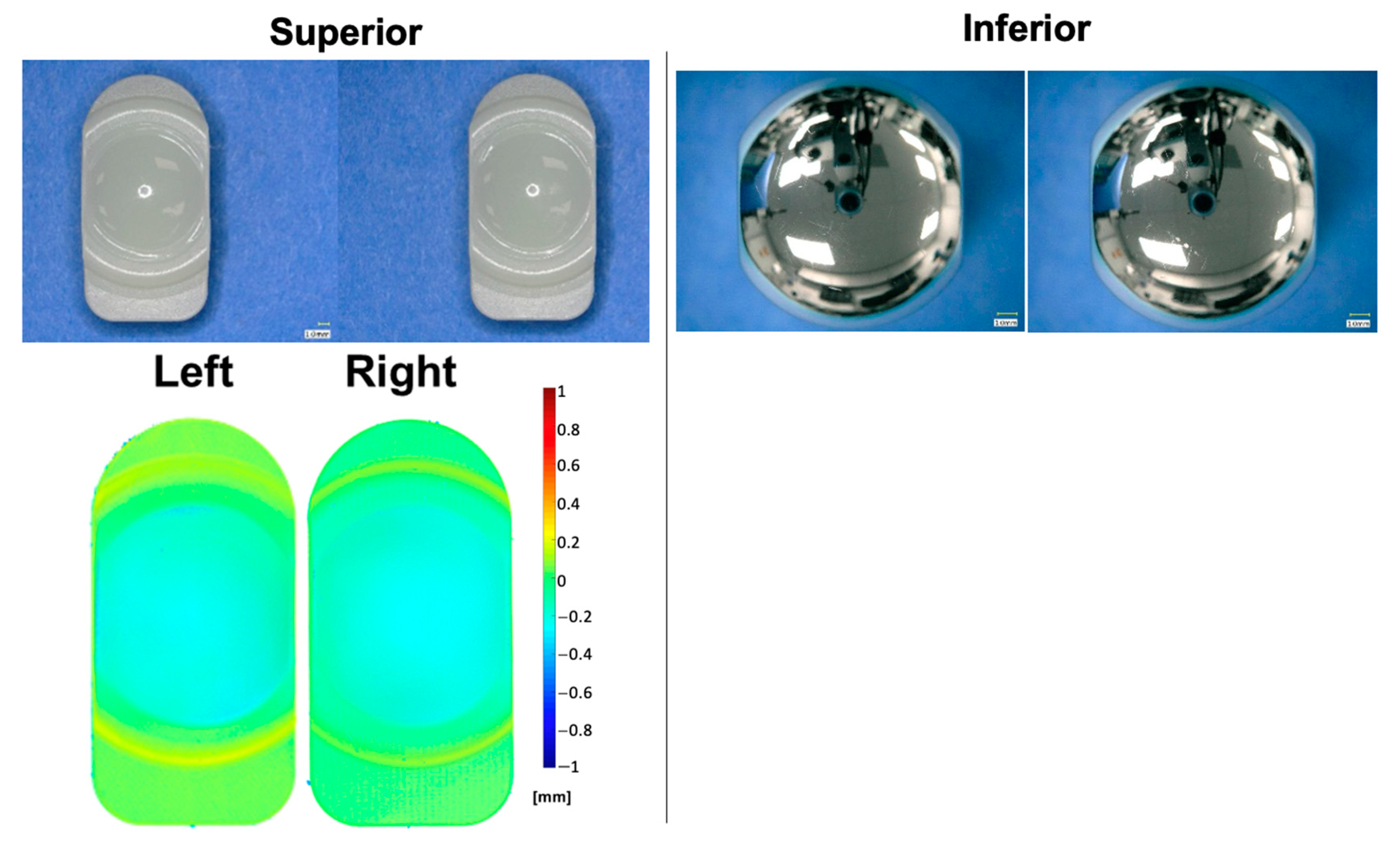 Bioengineering 10 01198 g006