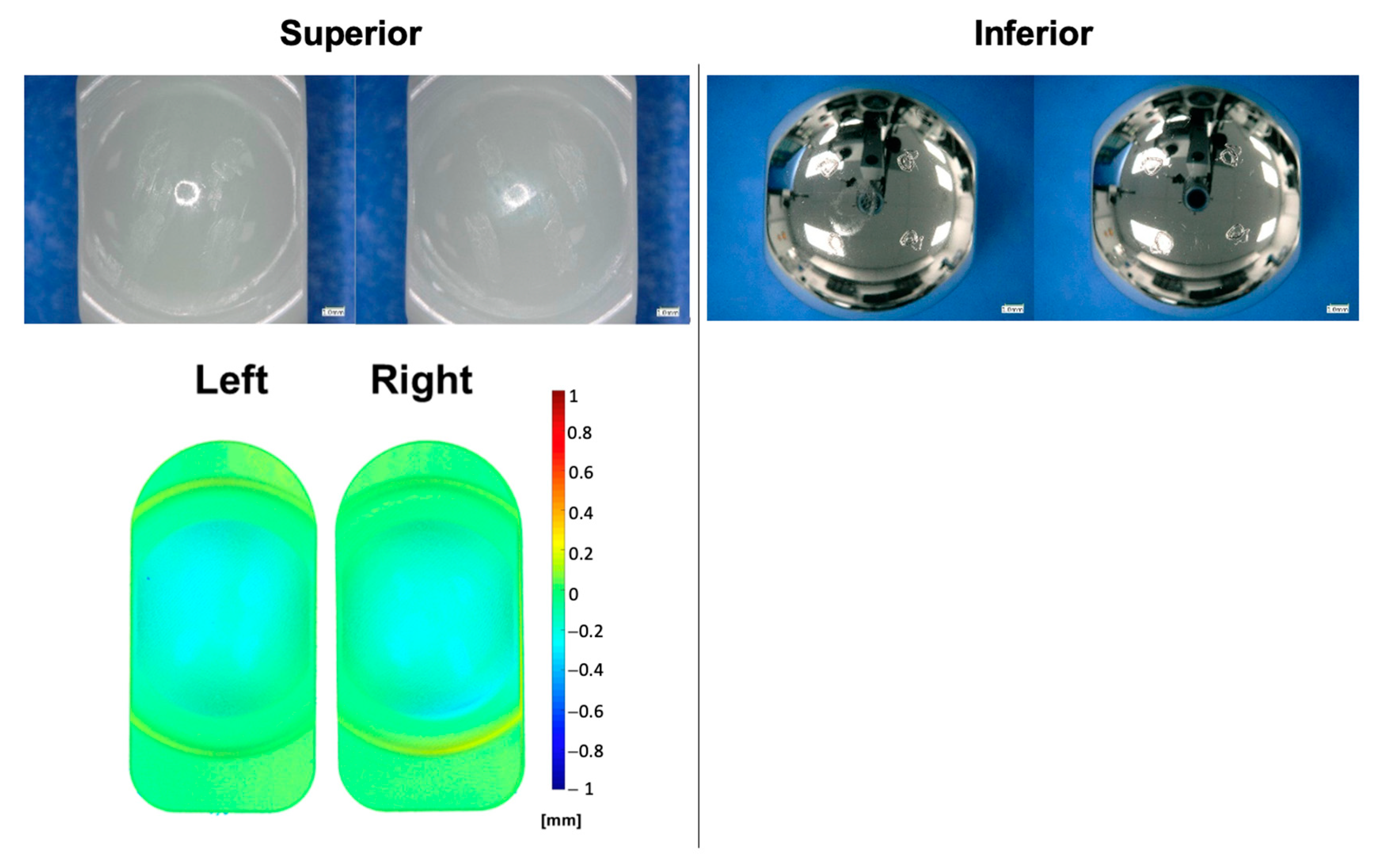 Bioengineering 10 01198 g008