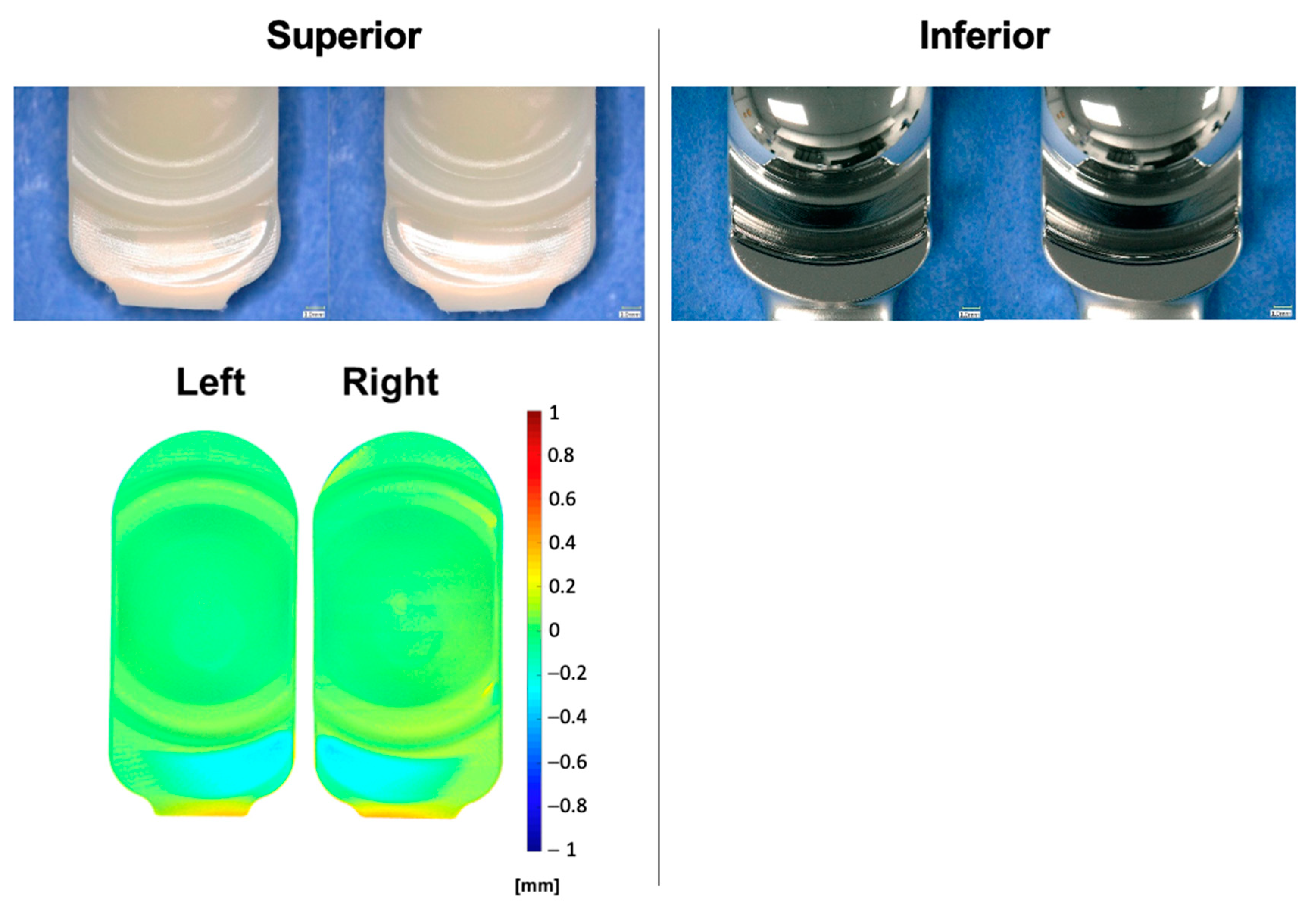 Bioengineering 10 01198 g010
