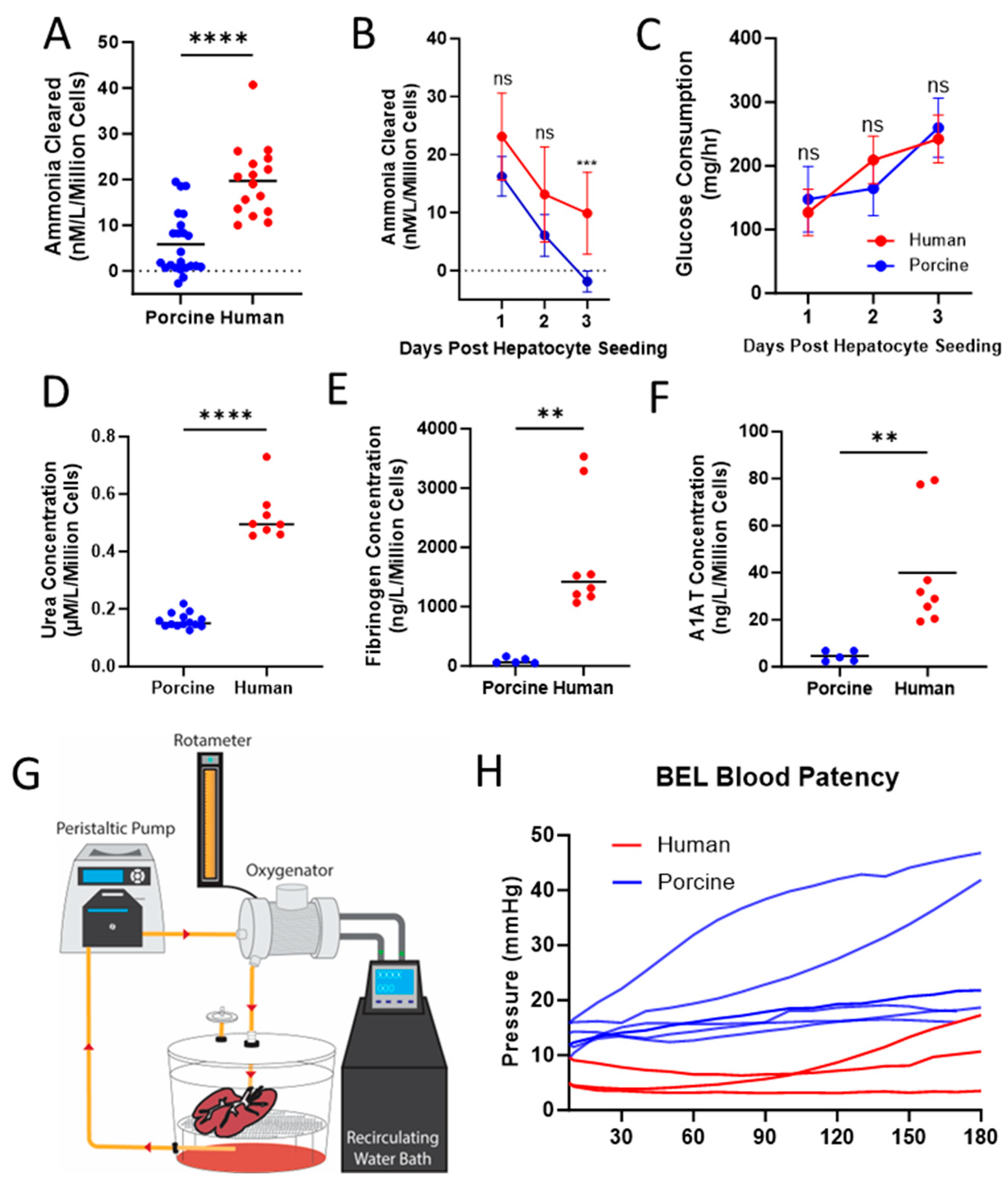 Bioengineering 10 01201 g003 Bioengineering 10 01201 g003
