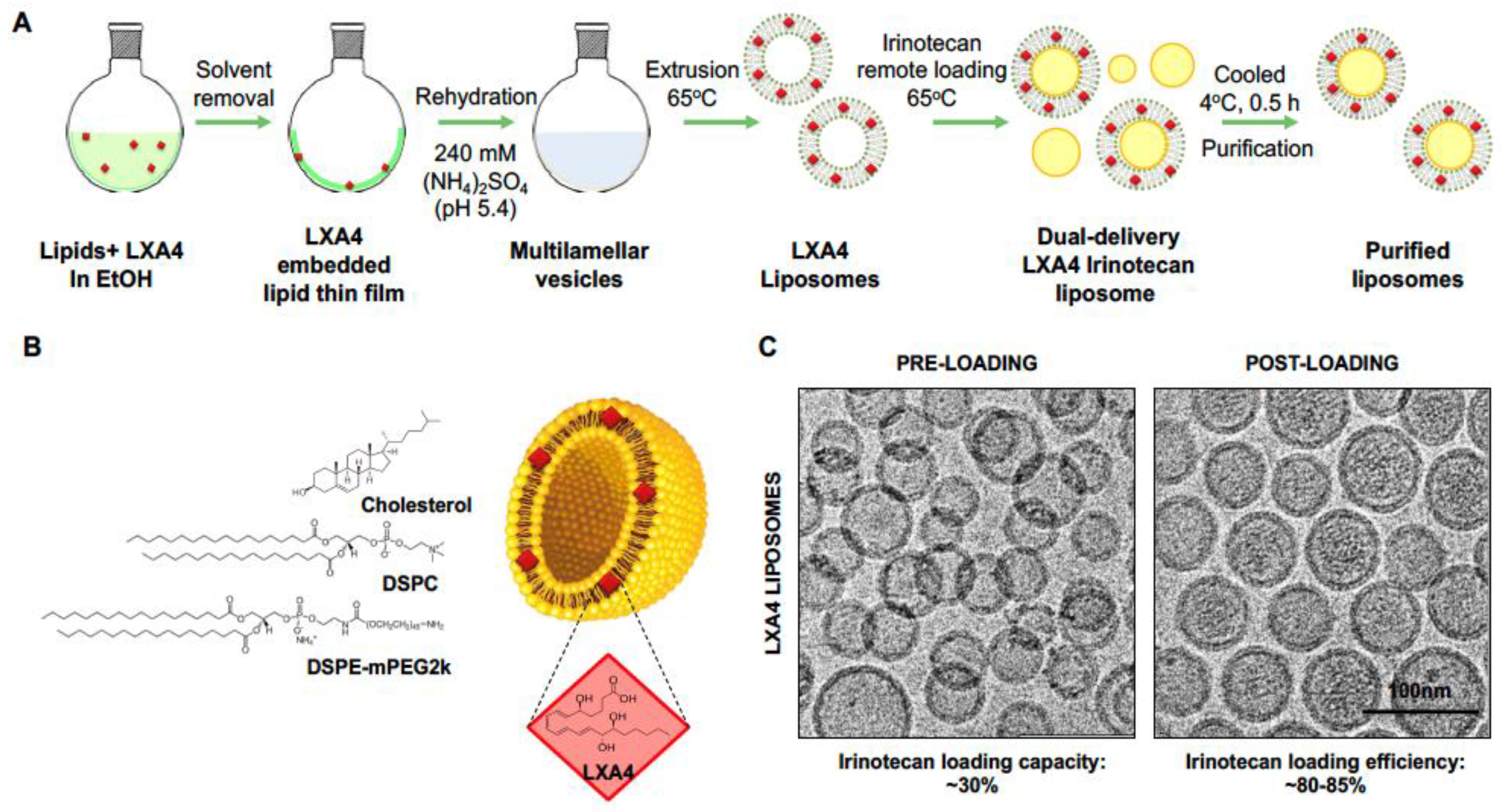Bioengineering 10 01205 g002