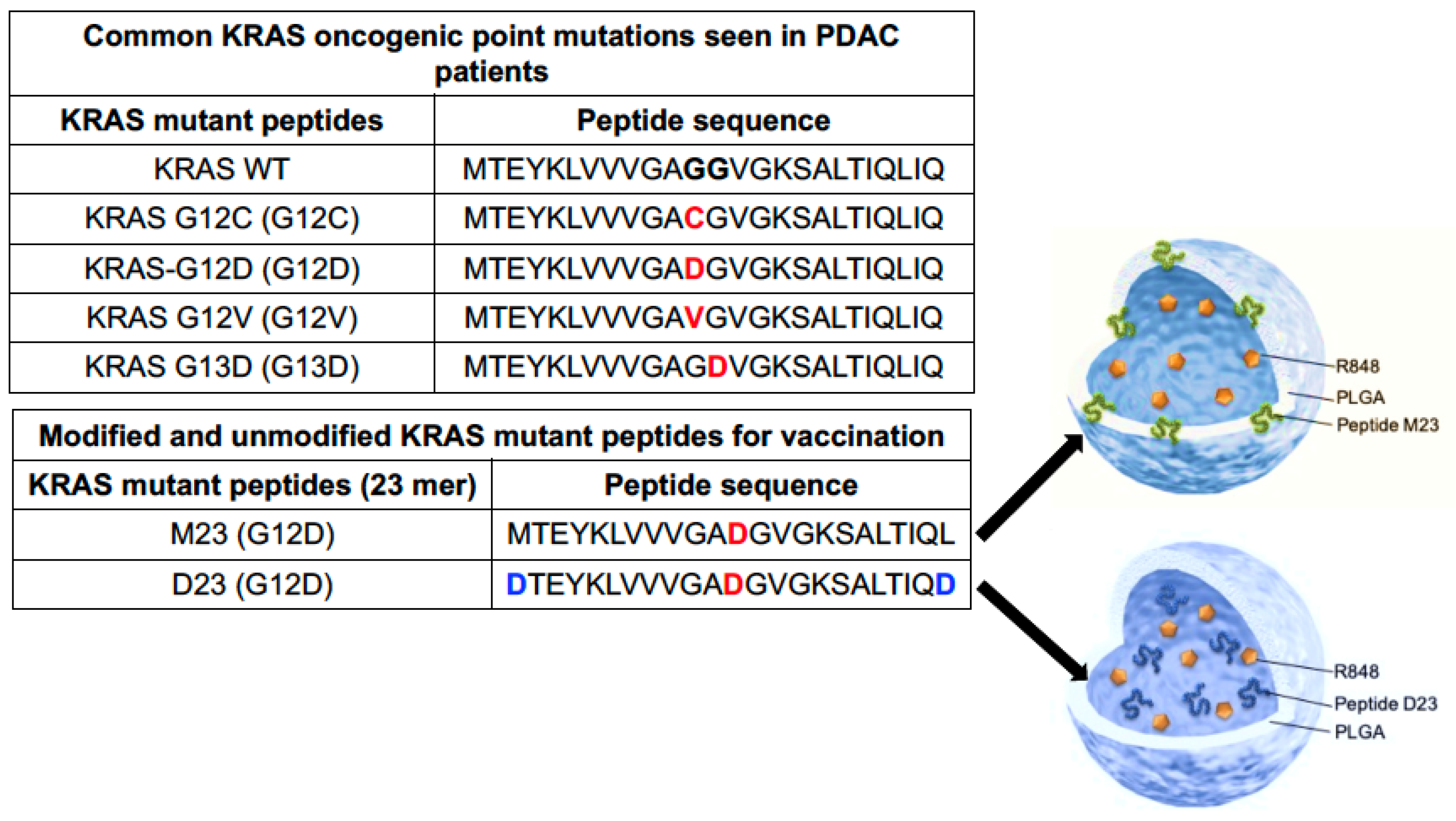 Bioengineering 10 01205 g004