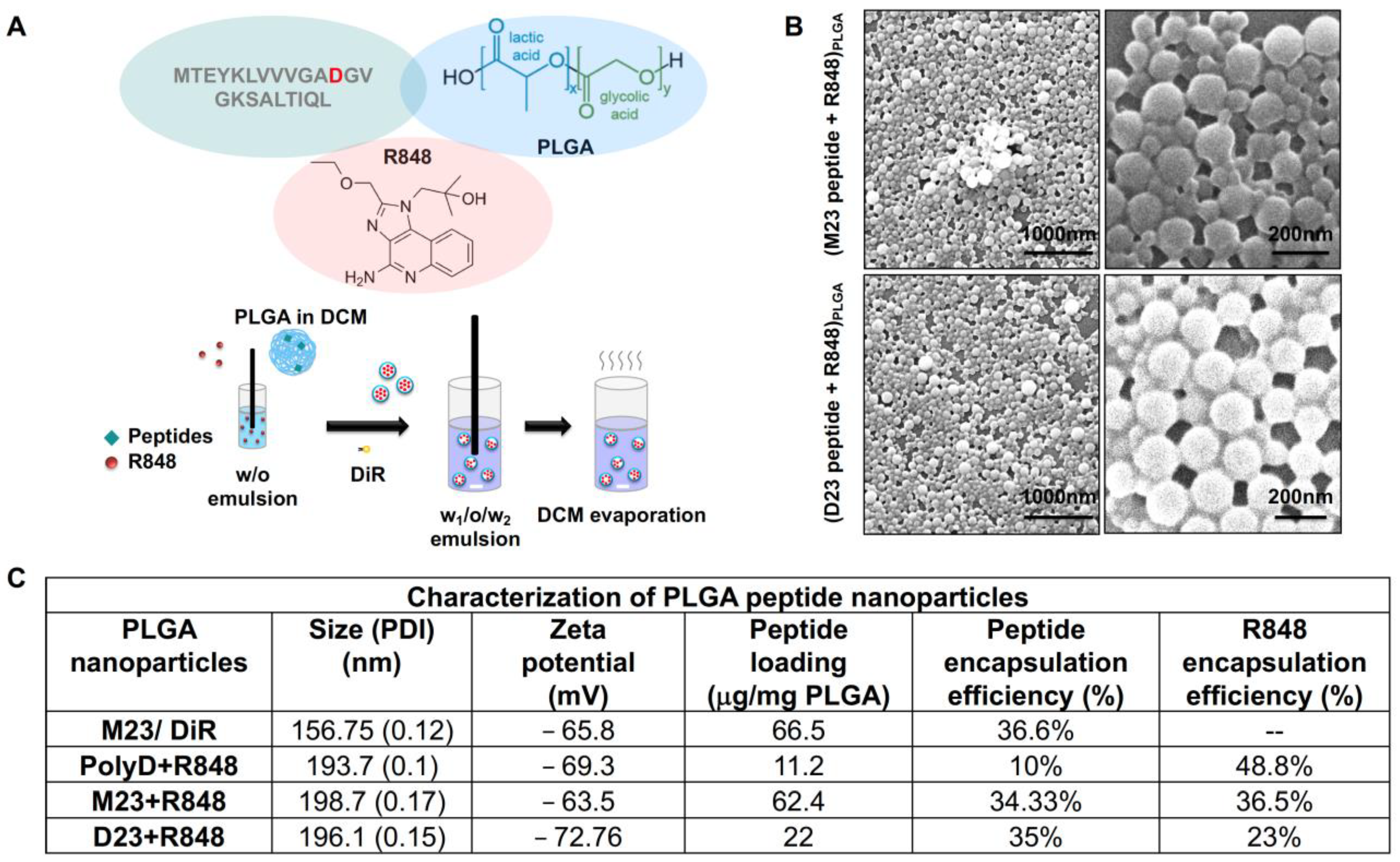Bioengineering 10 01205 g005