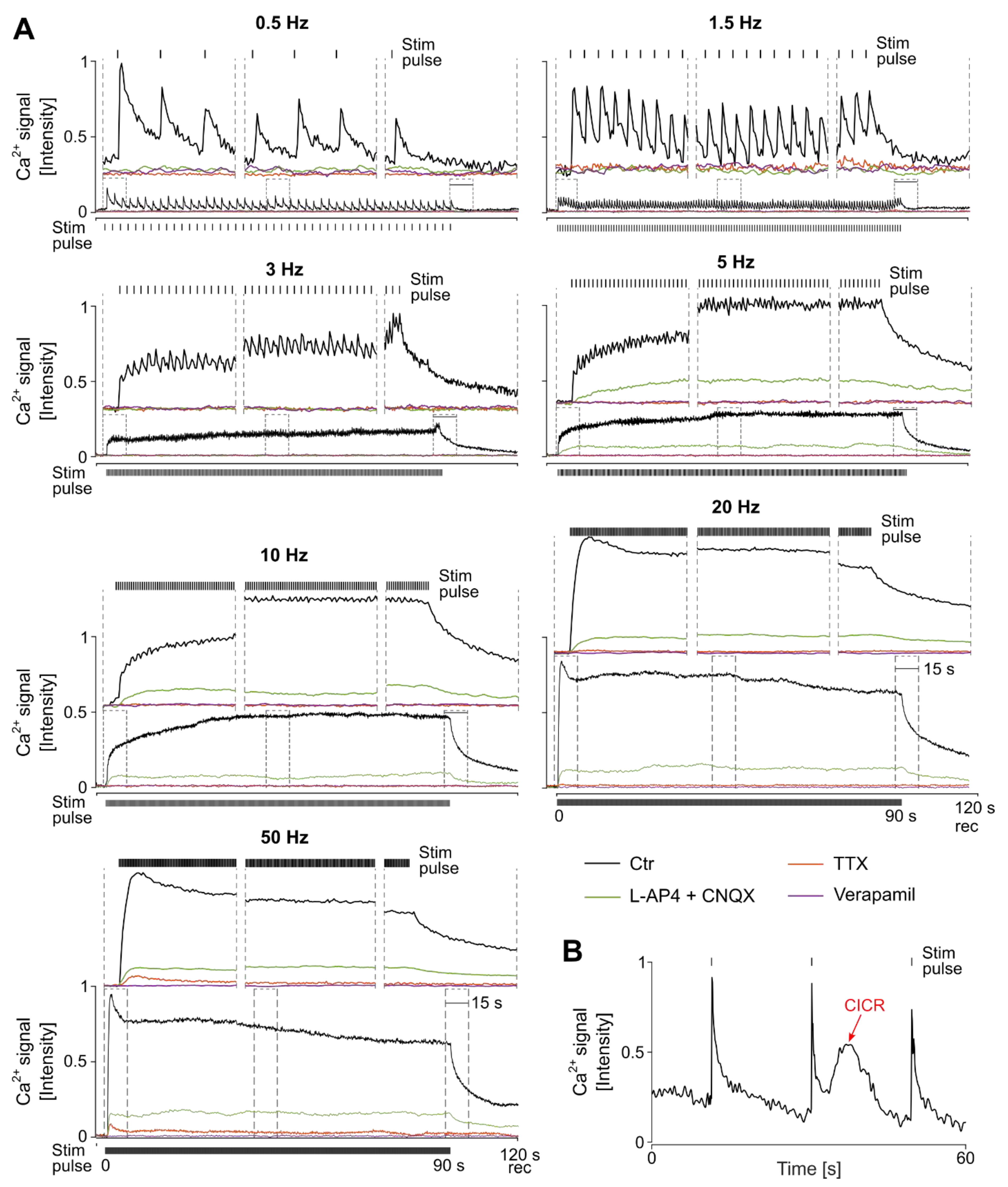 Bioengineering 10 01208 g003 Bioengineering 10 01208 g003