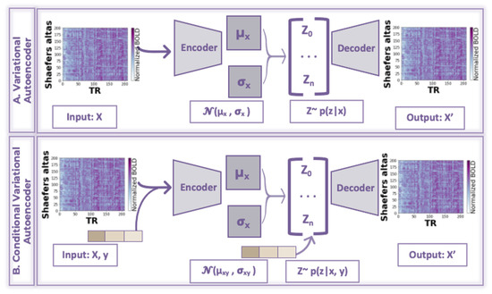 Conditional Variational Autoencoder for Functional Connectivity ...