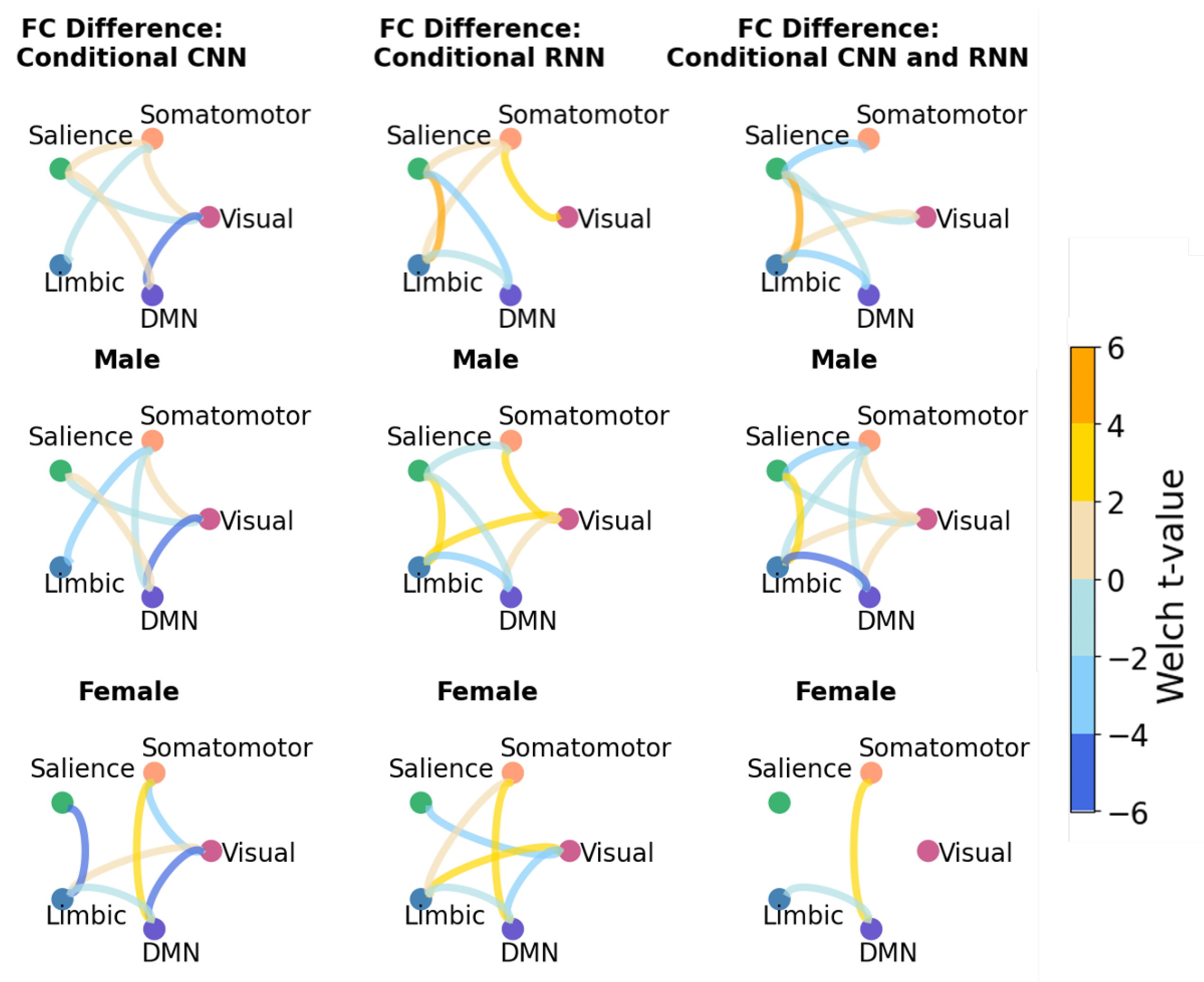 Conditional Variational Autoencoder for Functional Connectivity ...
