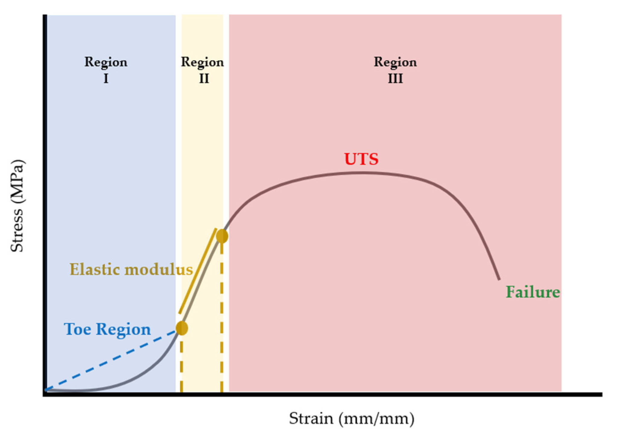 Bioengineering 10 01213 g006